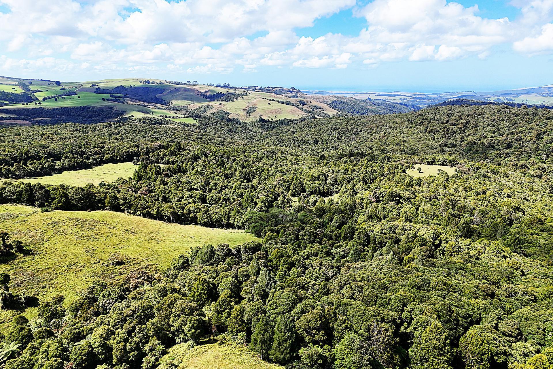 870 Marlborough Road, Dargaville Surrounds