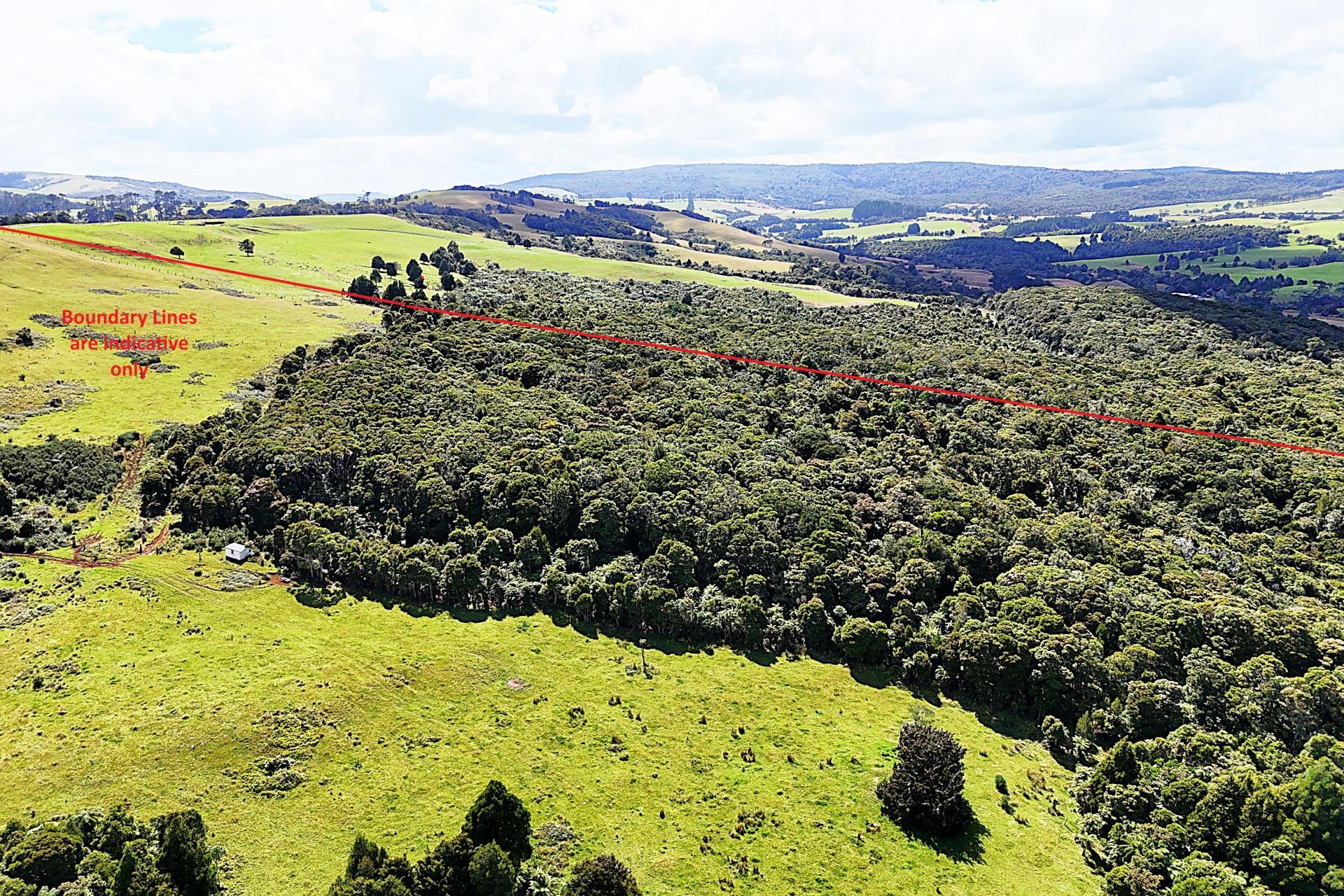 870 Marlborough Road, Dargaville Surrounds