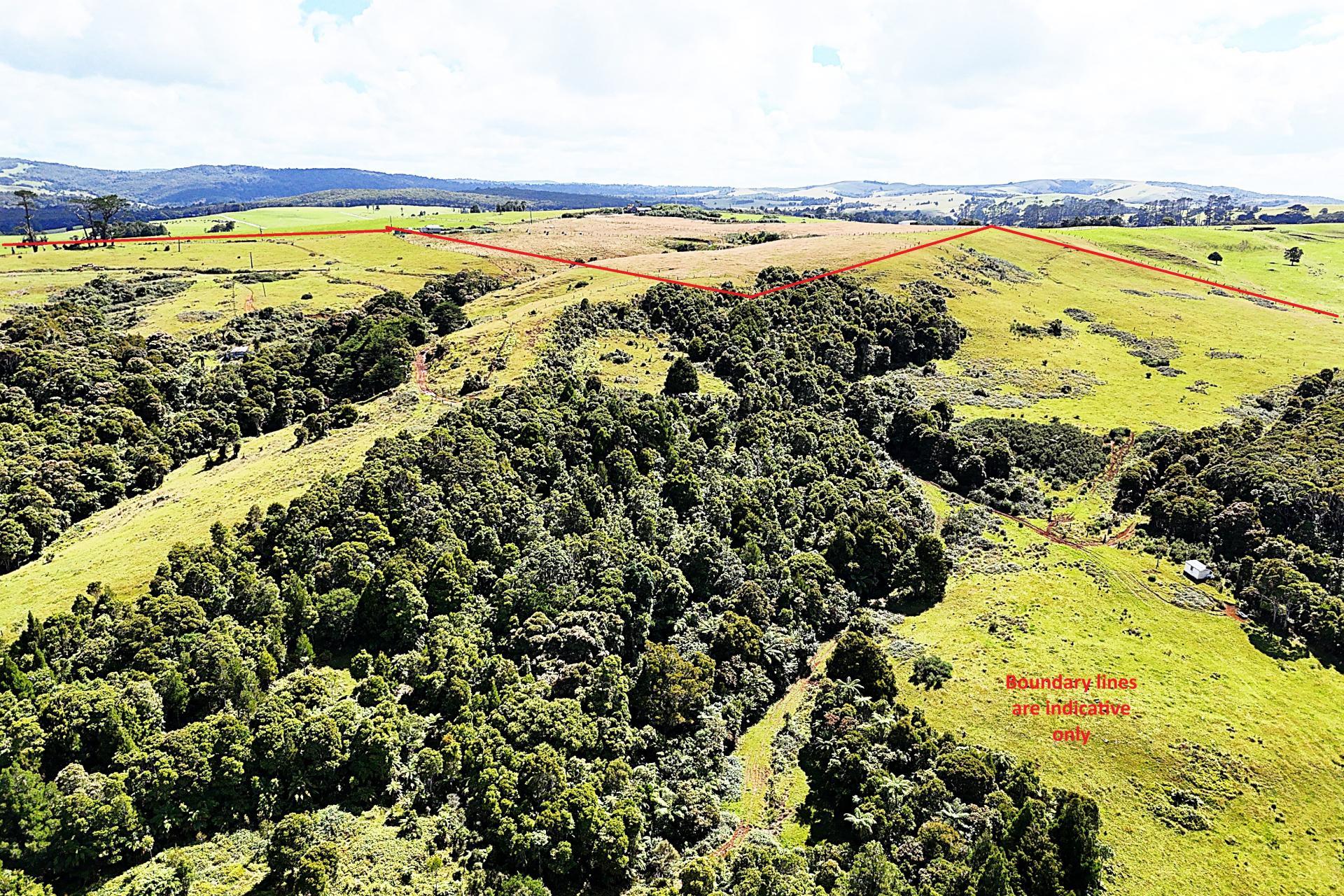 870 Marlborough Road, Dargaville Surrounds
