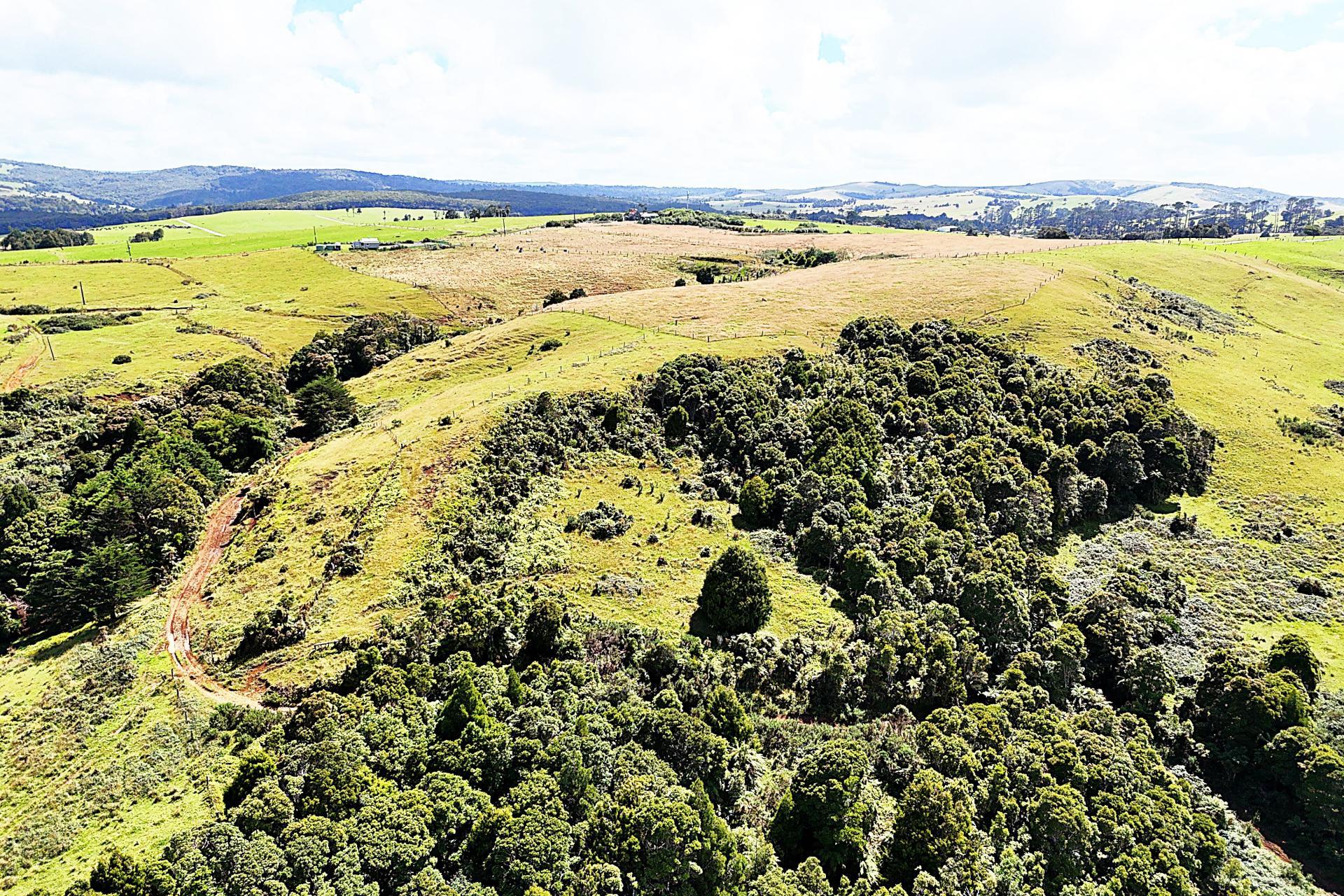 870 Marlborough Road, Dargaville Surrounds