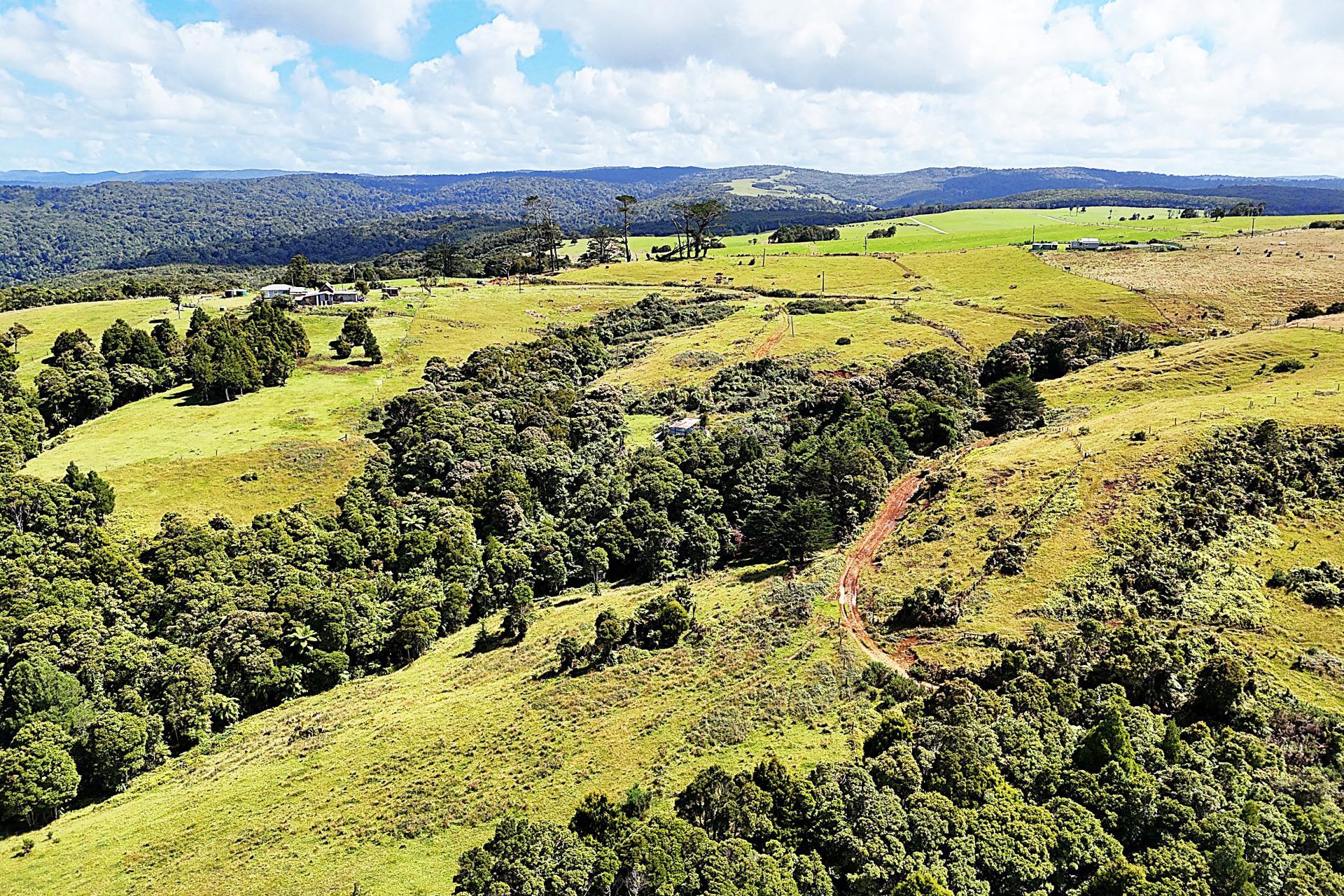 870 Marlborough Road, Dargaville Surrounds