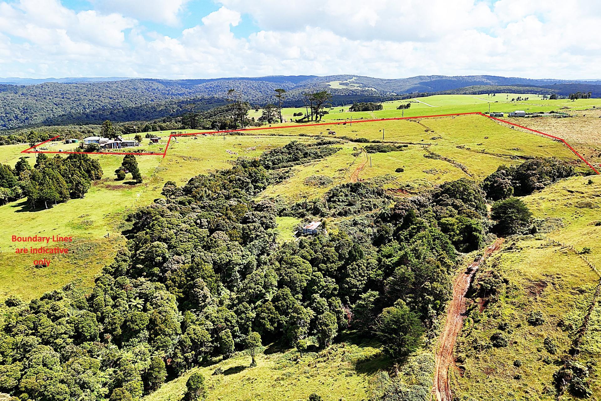 870 Marlborough Road, Dargaville Surrounds