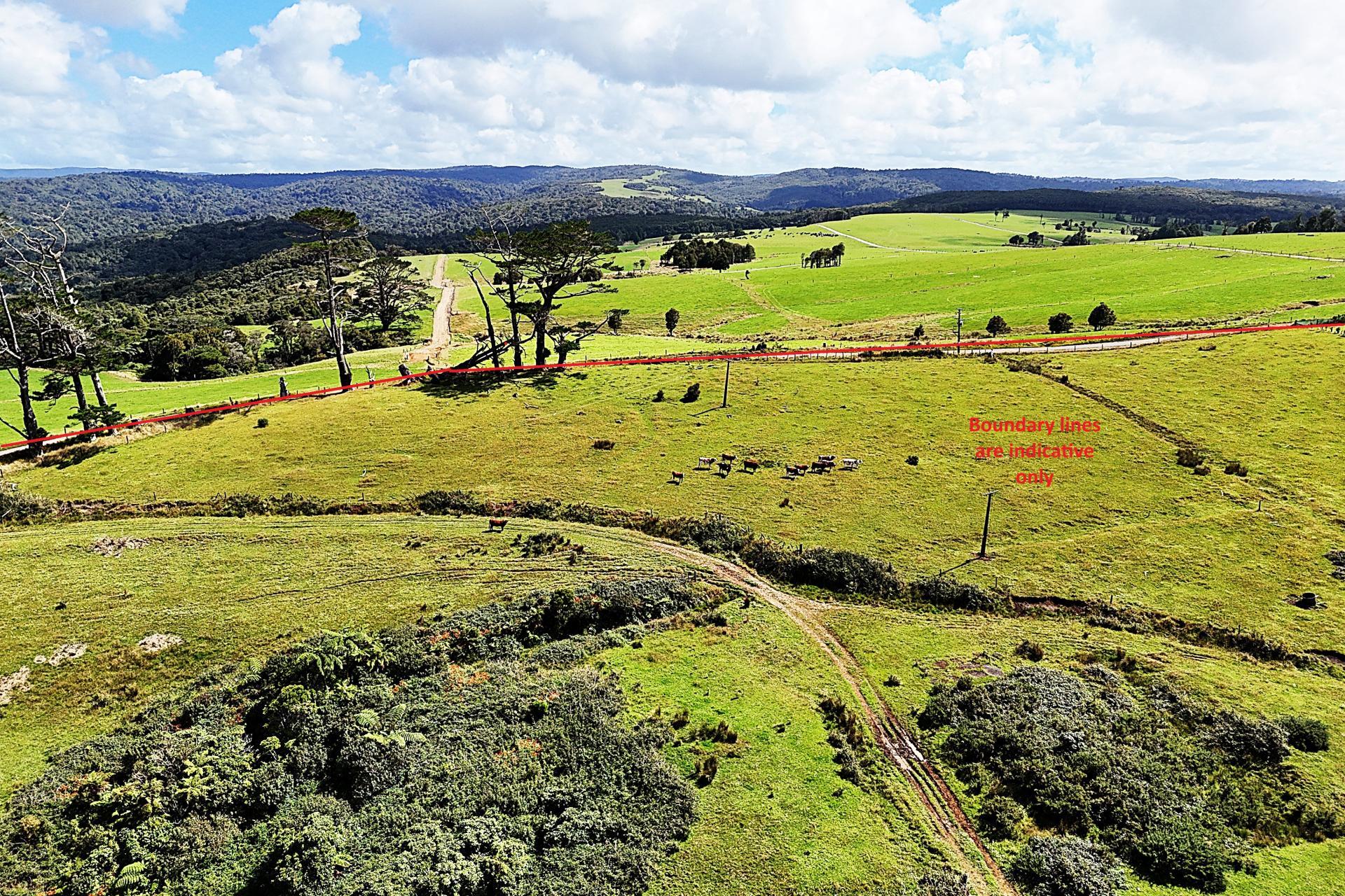 870 Marlborough Road, Dargaville Surrounds