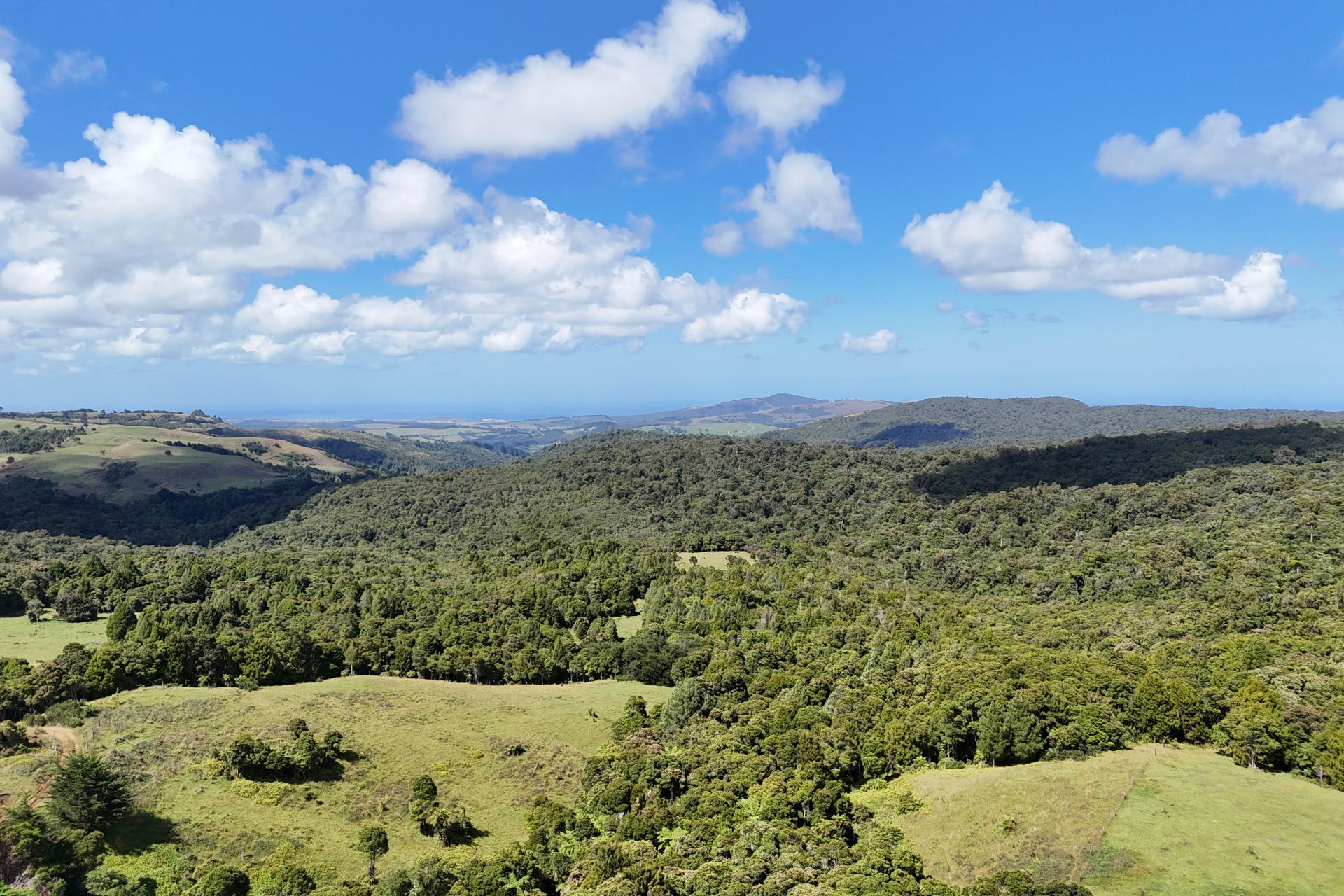 870 Marlborough Road, Dargaville Surrounds