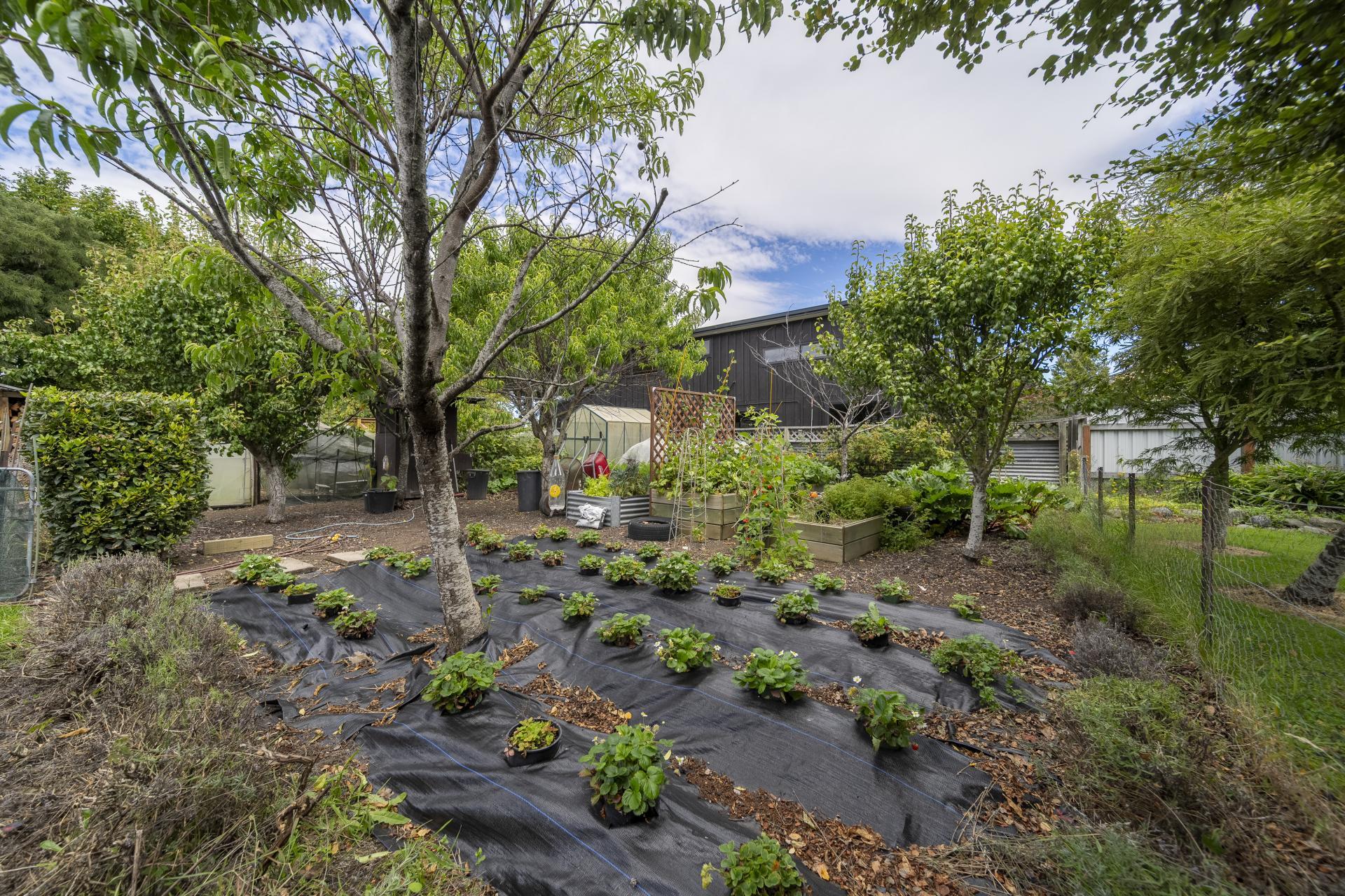 49 Bligh Street, Te Anau