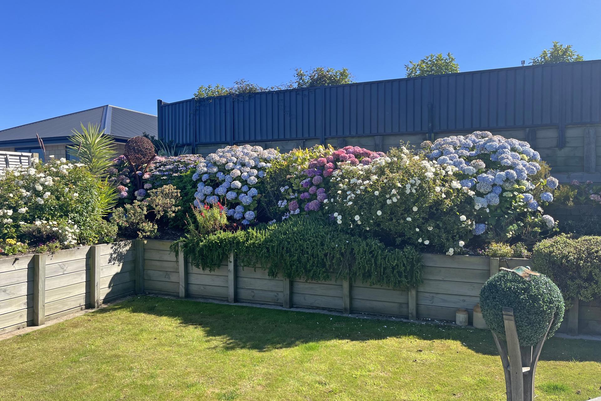 15 Dove Place, Holmes Hill