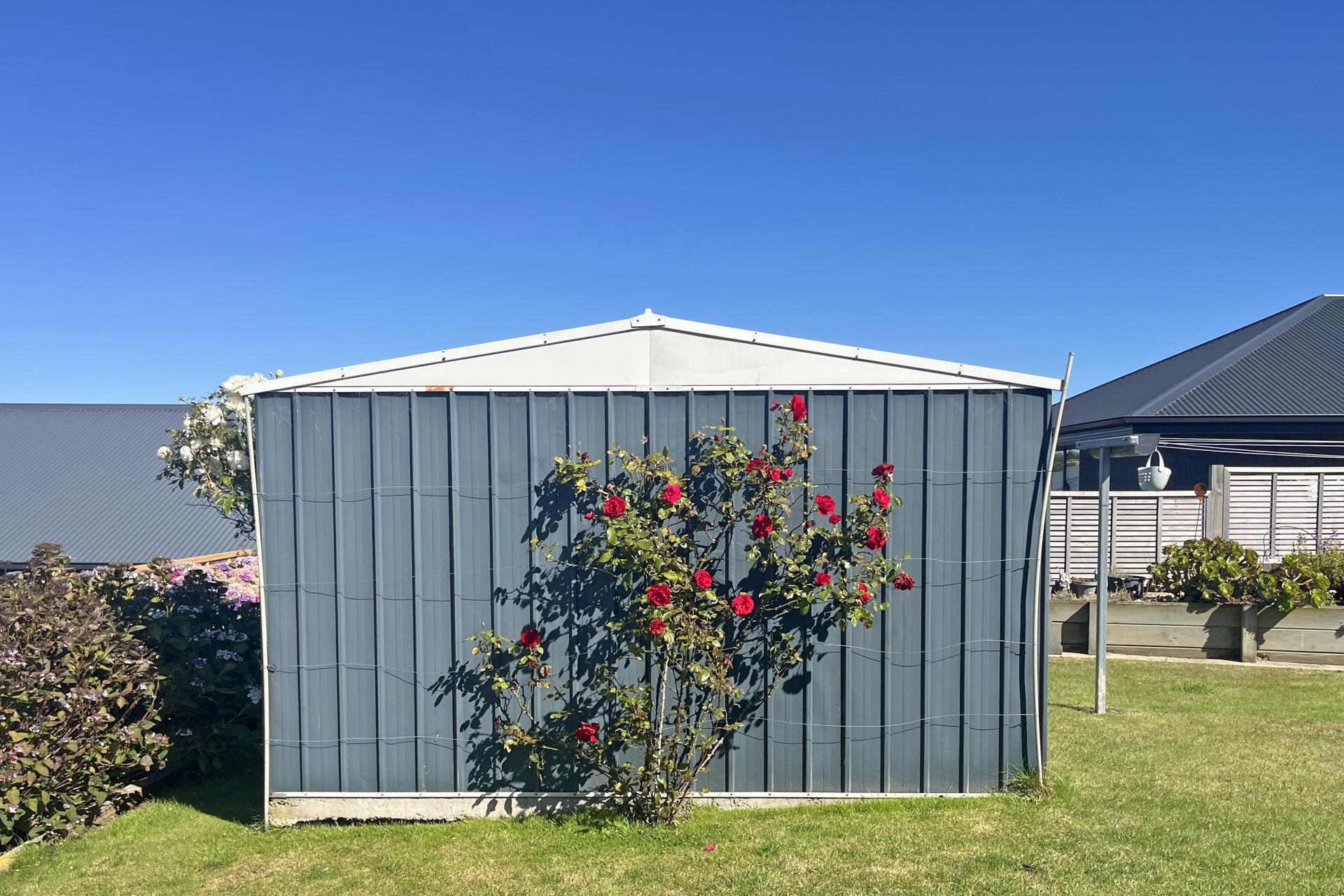 15 Dove Place, Holmes Hill