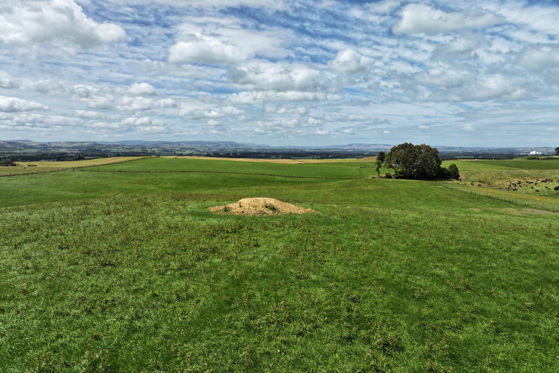 986 Downs Road, Brydone