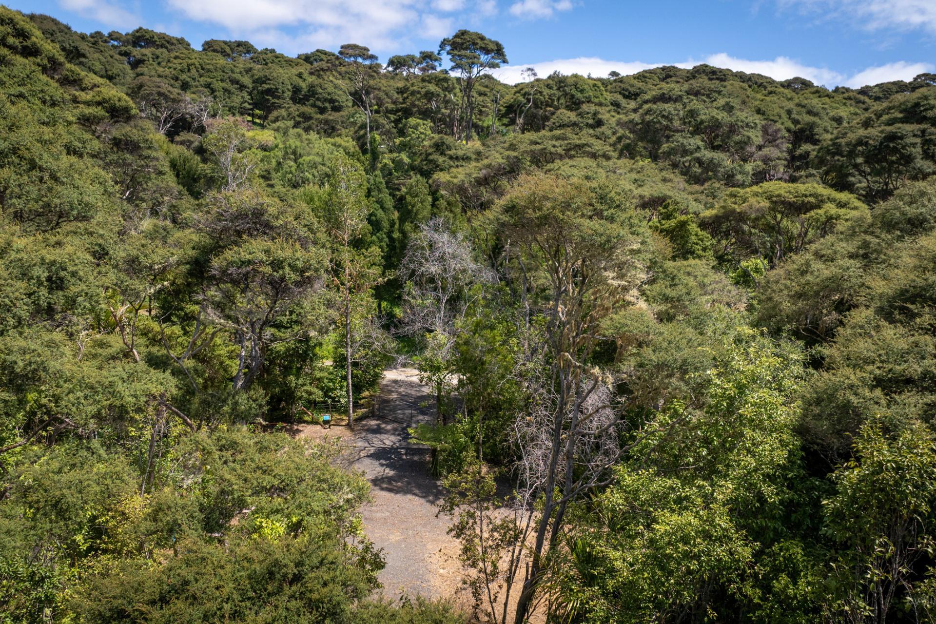 Te Akau Wharf Road, Te Akau