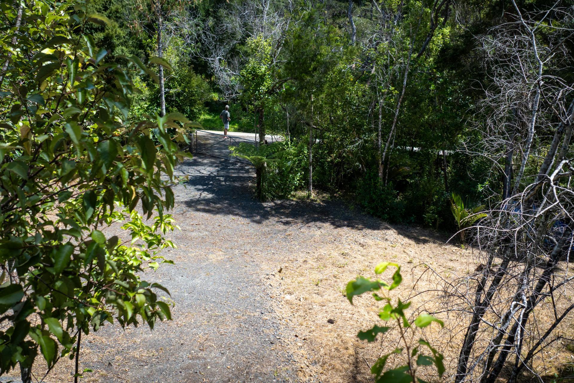Te Akau Wharf Road, Te Akau