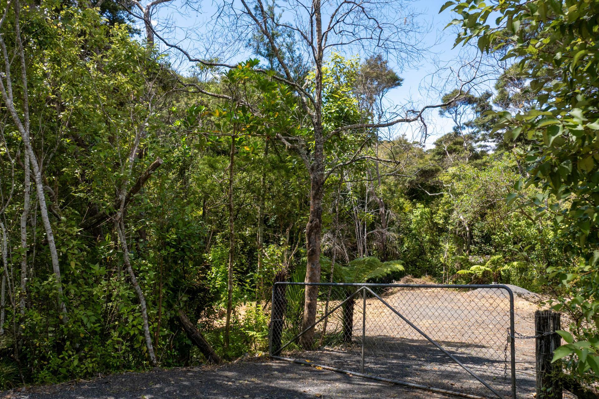 Te Akau Wharf Road, Te Akau