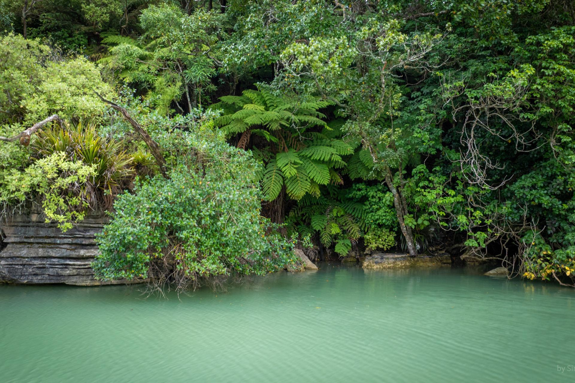 505 Te Akau Wharf Road, Te Akau