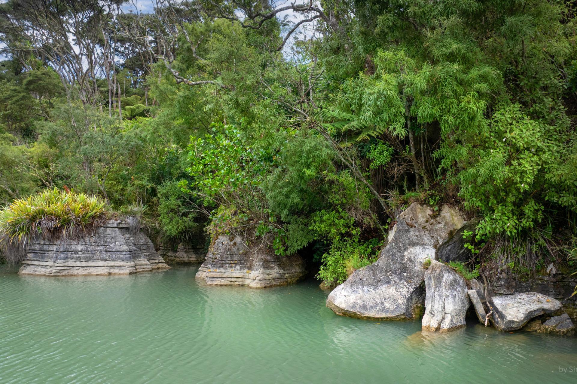 505 Te Akau Wharf Road, Te Akau