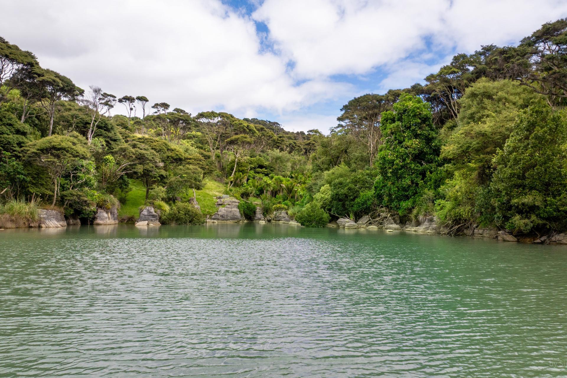 505 Te Akau Wharf Road, Te Akau