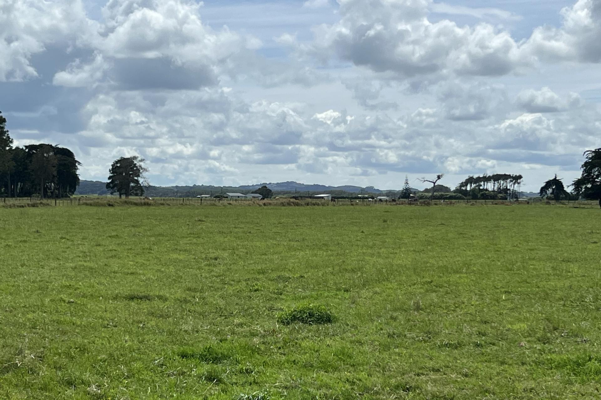 69 Hoods Landing Road, Otaua