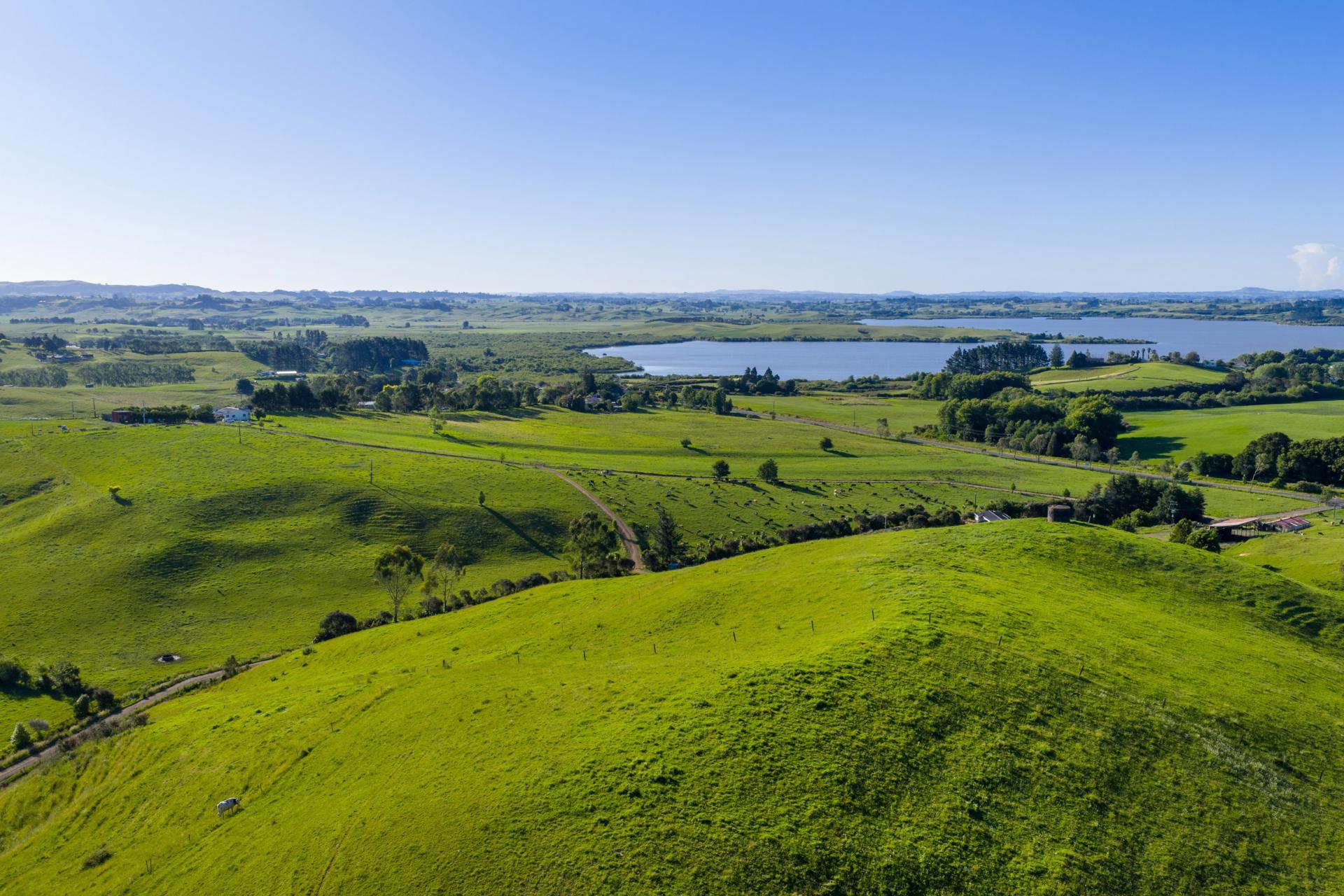 165 Rotowaro Road, Huntly