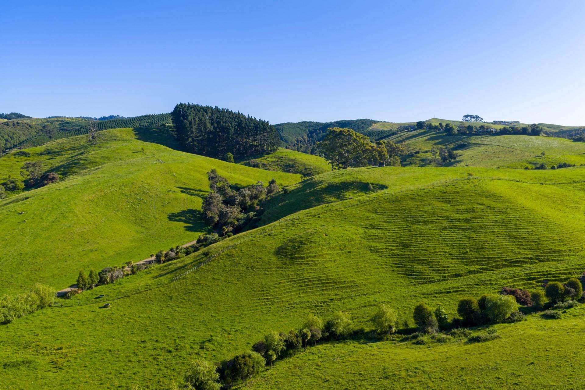 165 Rotowaro Road, Huntly