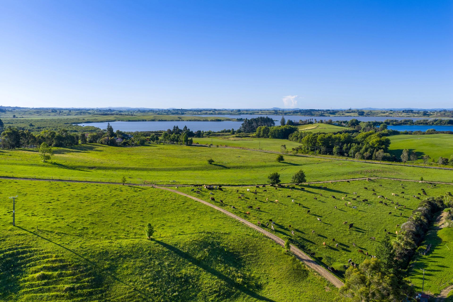 165 Rotowaro Road, Huntly