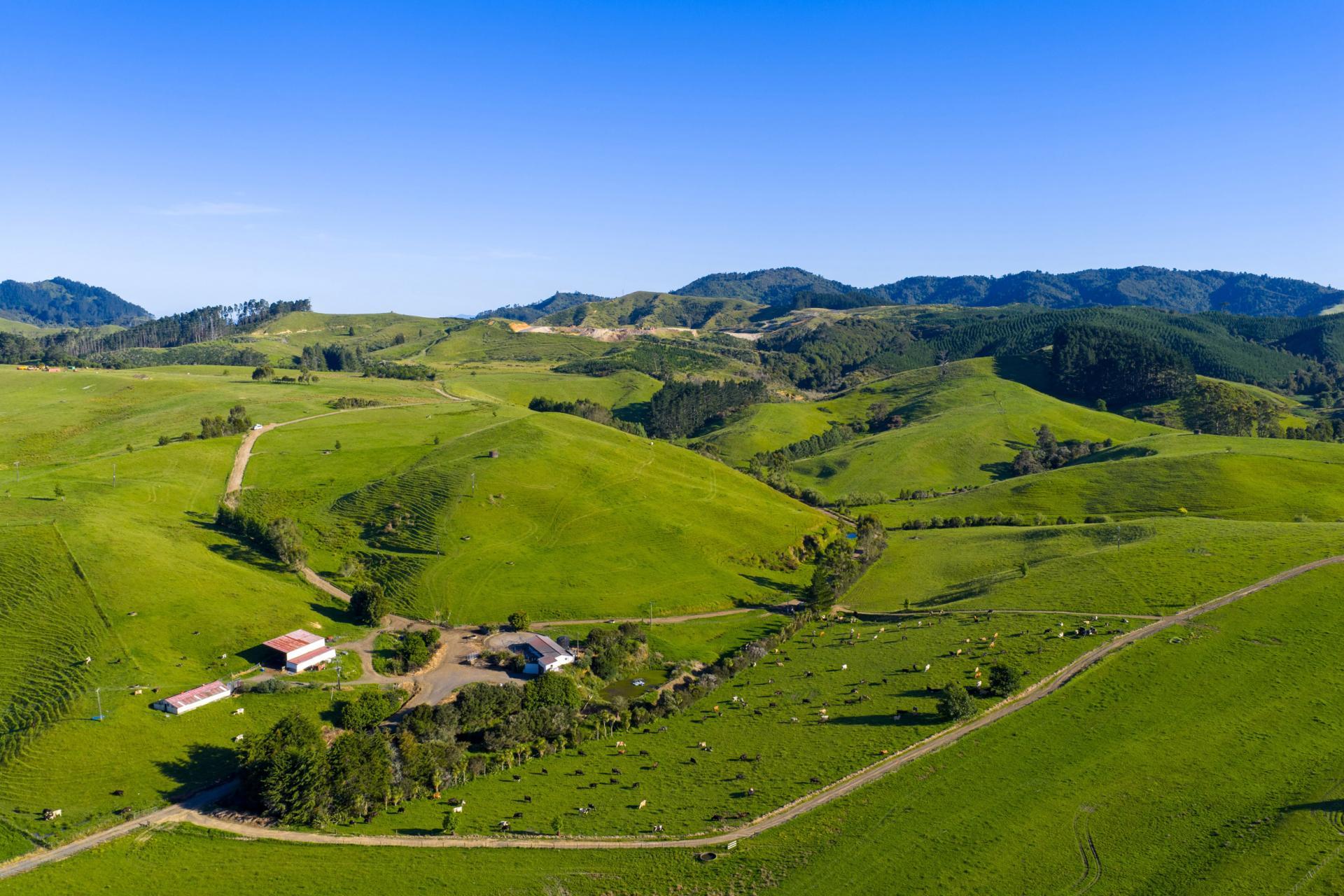 165 Rotowaro Road, Huntly