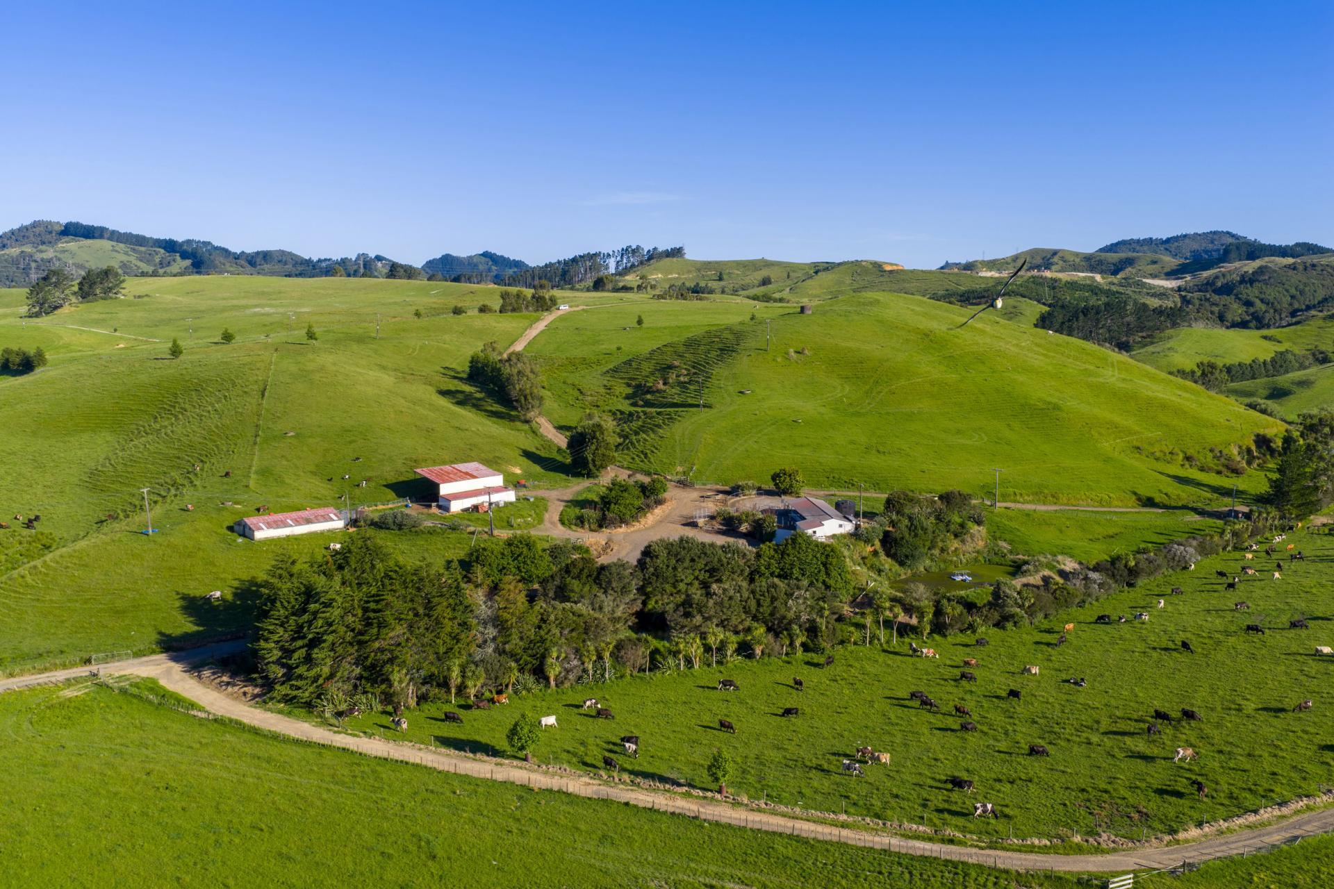 165 Rotowaro Road, Huntly