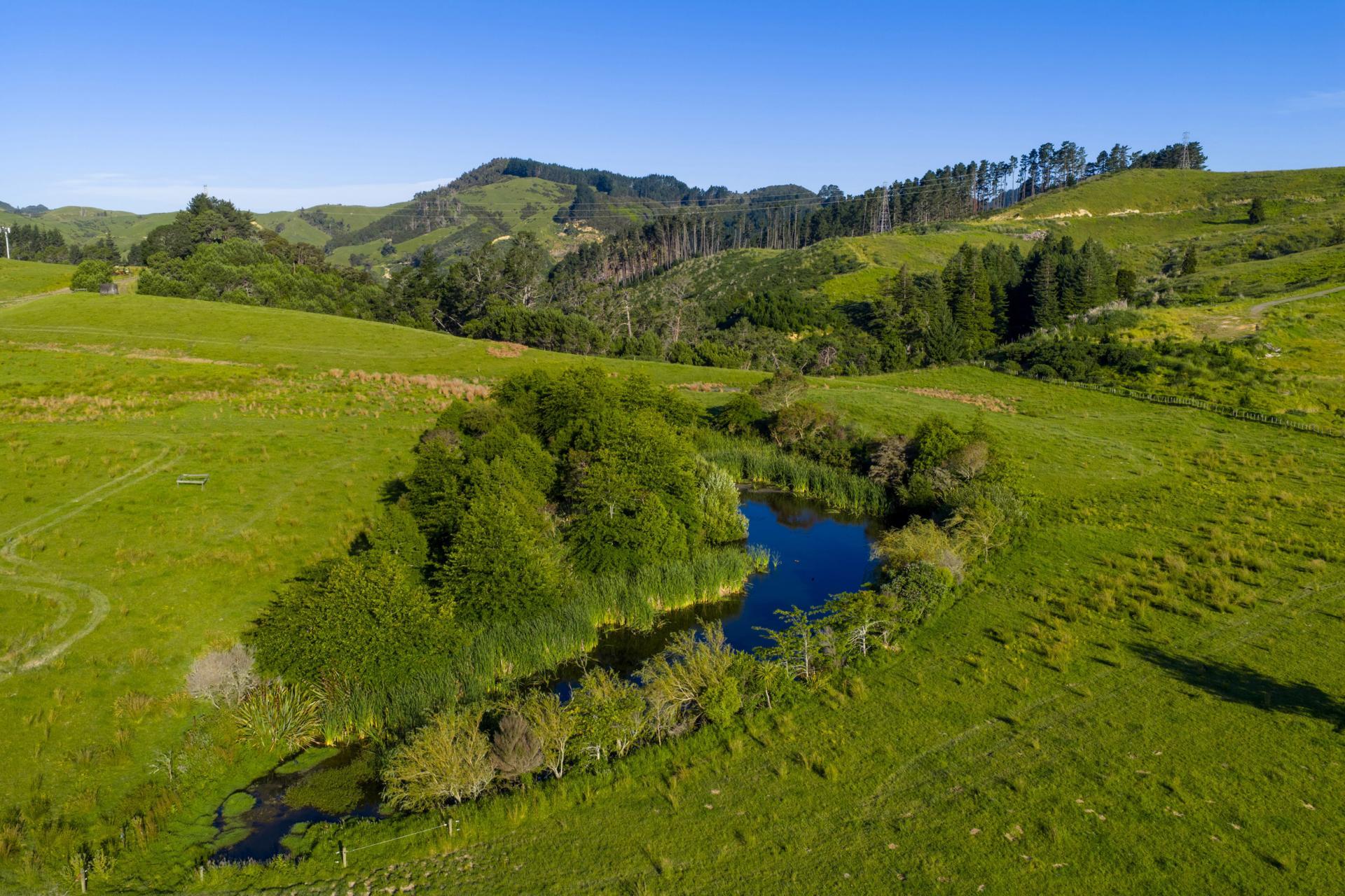 165 Rotowaro Road, Huntly