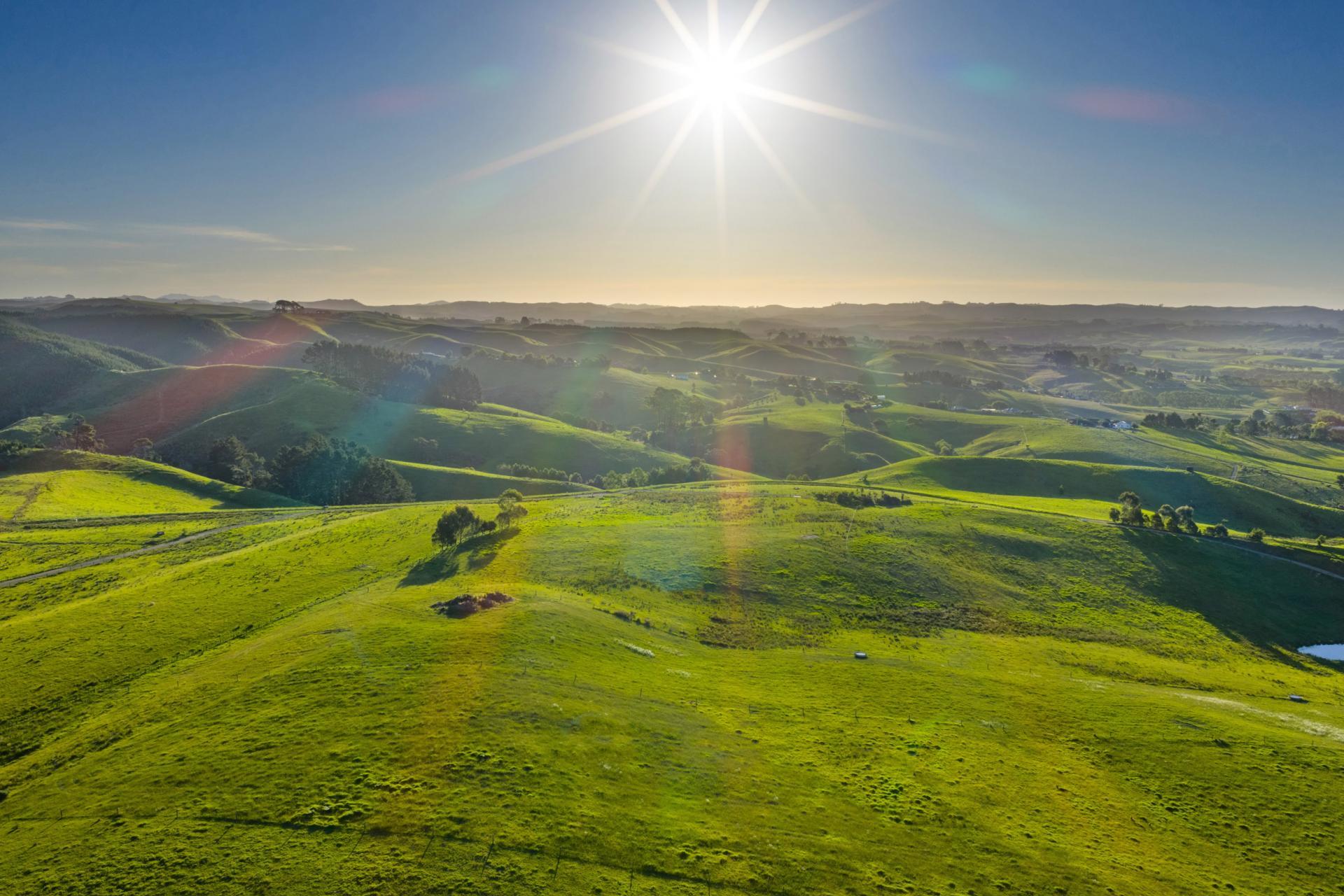 165 Rotowaro Road, Huntly