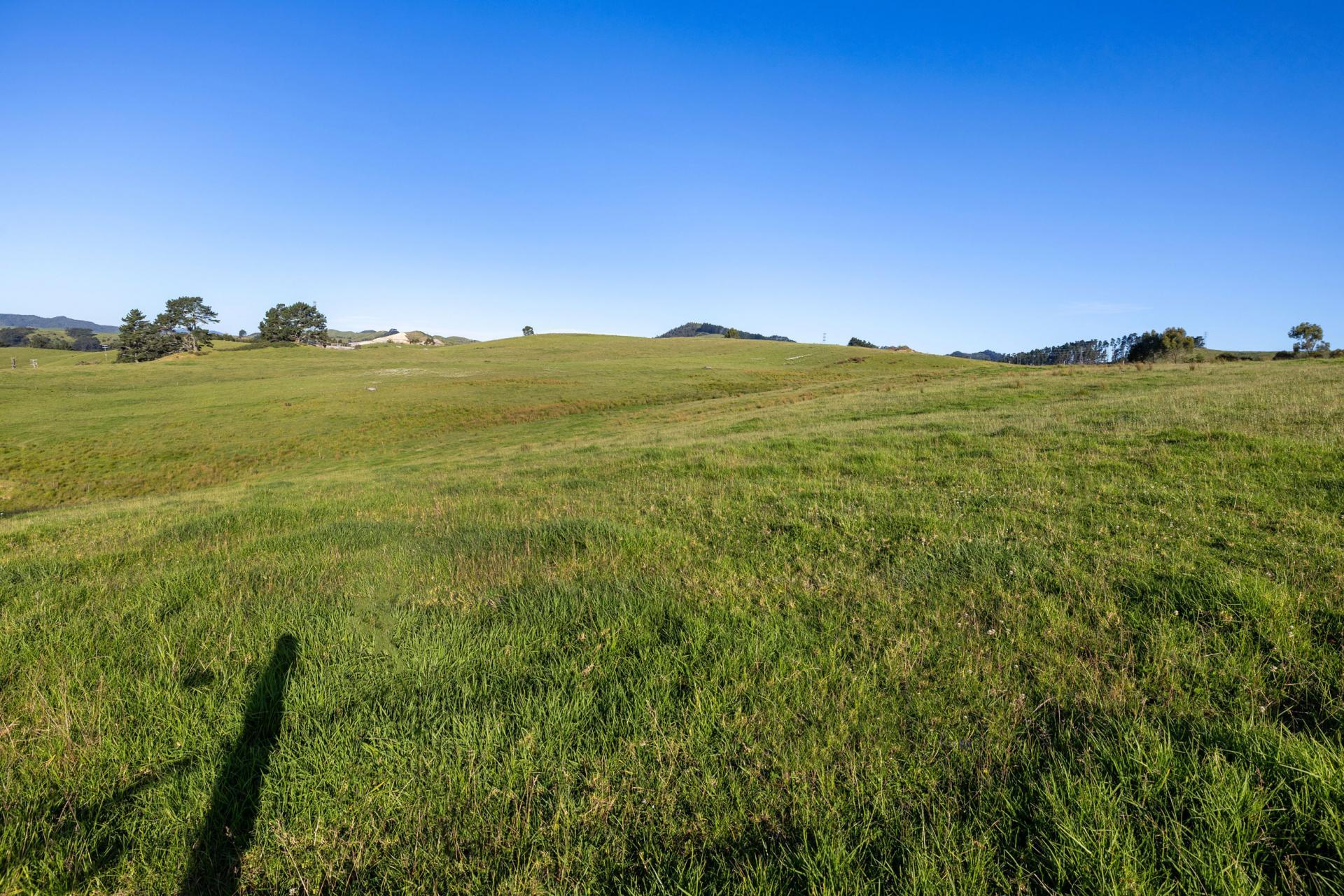 165 Rotowaro Road, Huntly