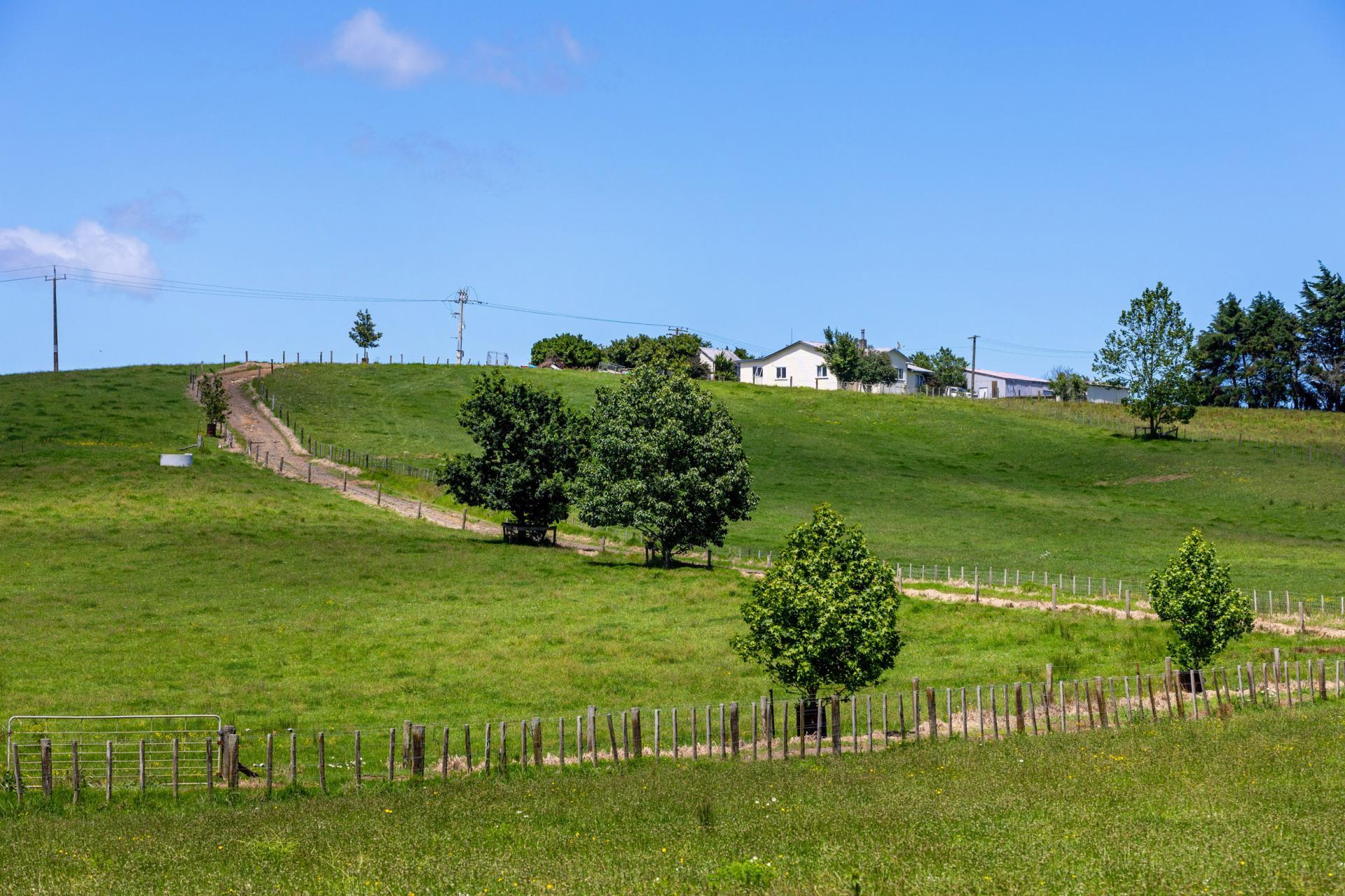 165 Rotowaro Road, Huntly