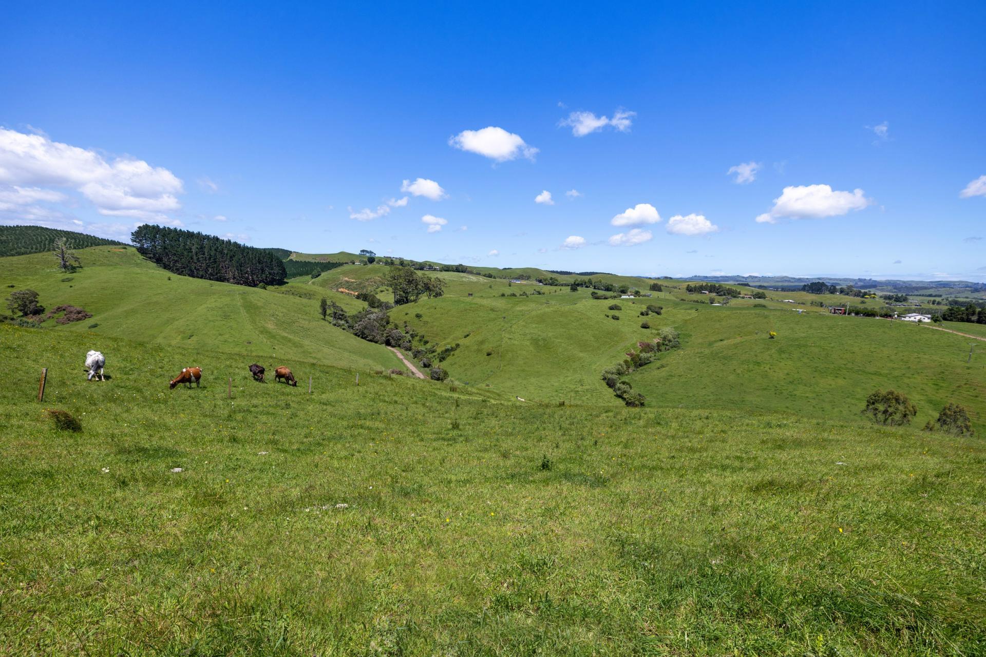 165 Rotowaro Road, Huntly