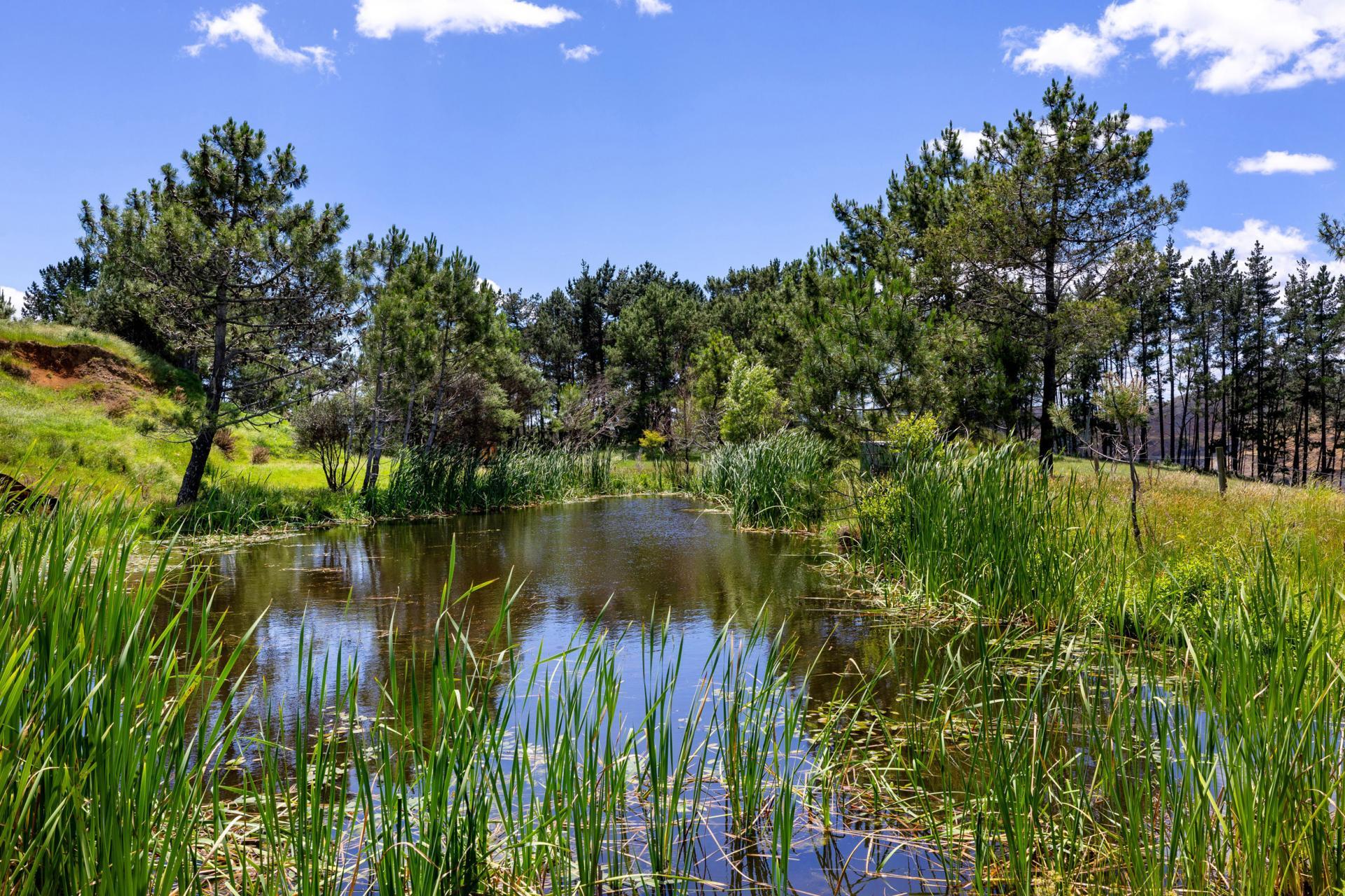 165 Rotowaro Road, Huntly