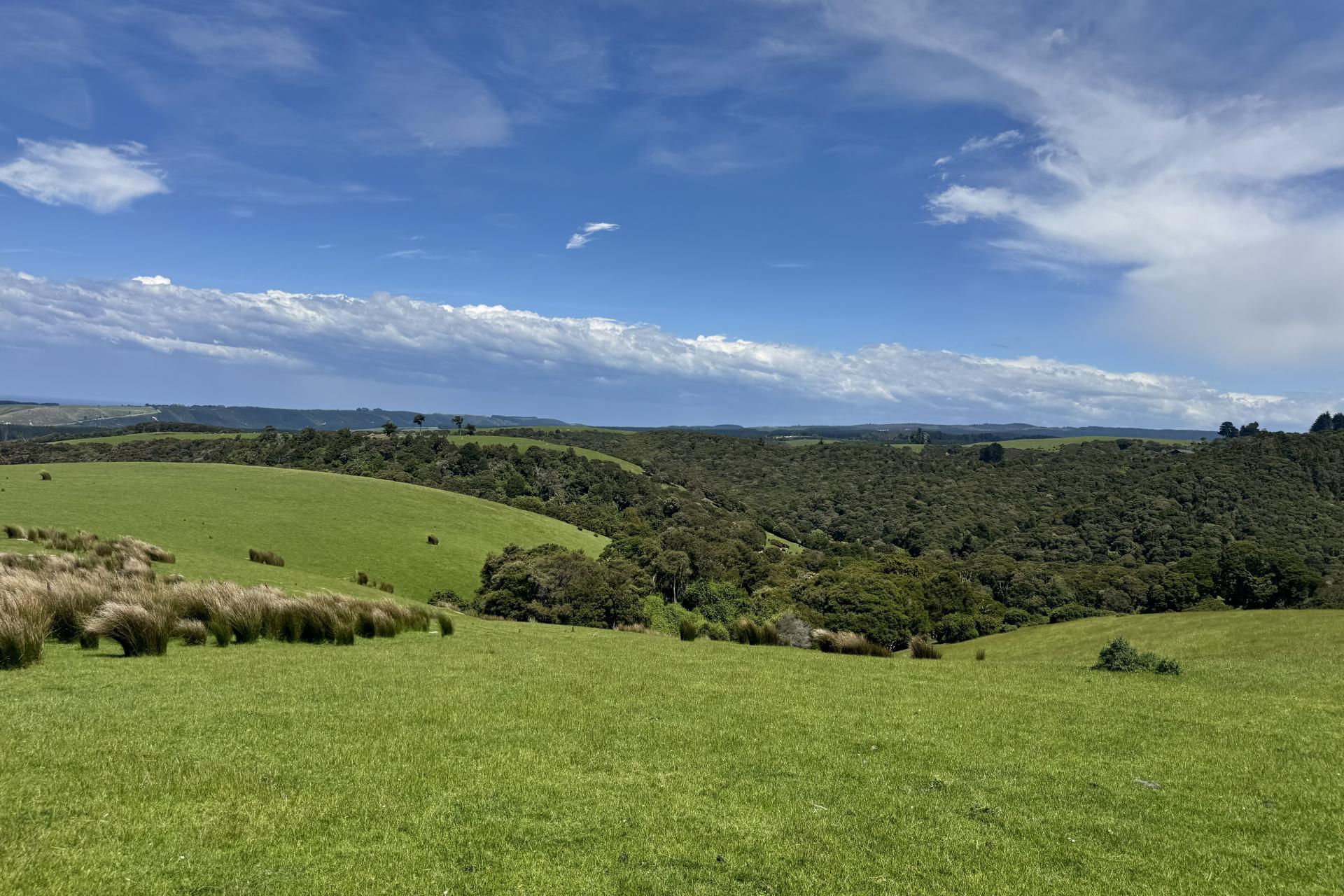 125 Sawmill Road, Taieri Beach