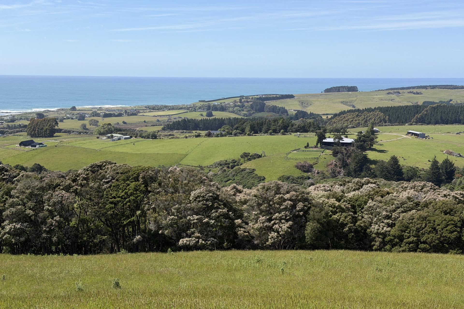 125 Sawmill Road, Taieri Beach