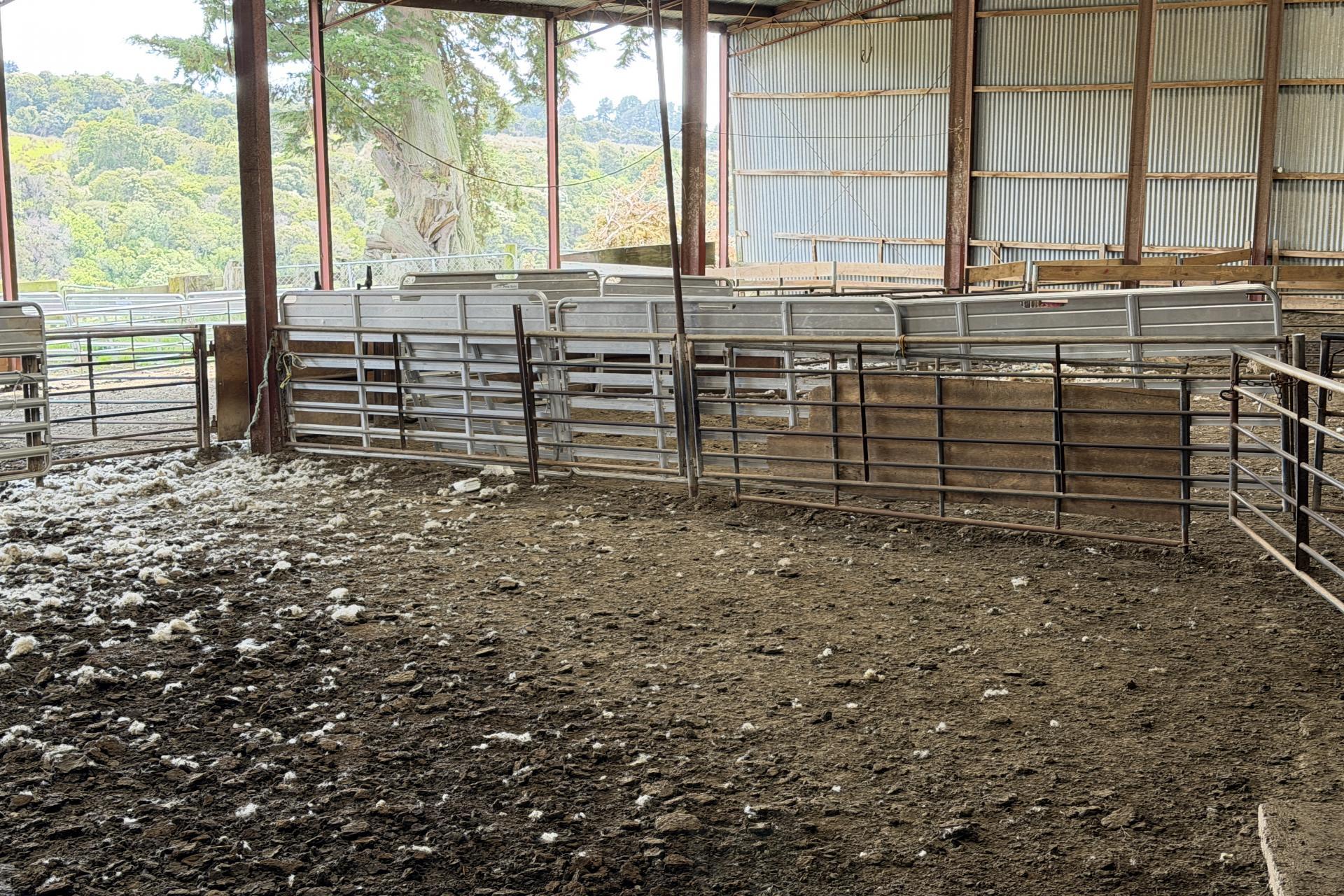 125 Sawmill Road, Taieri Beach