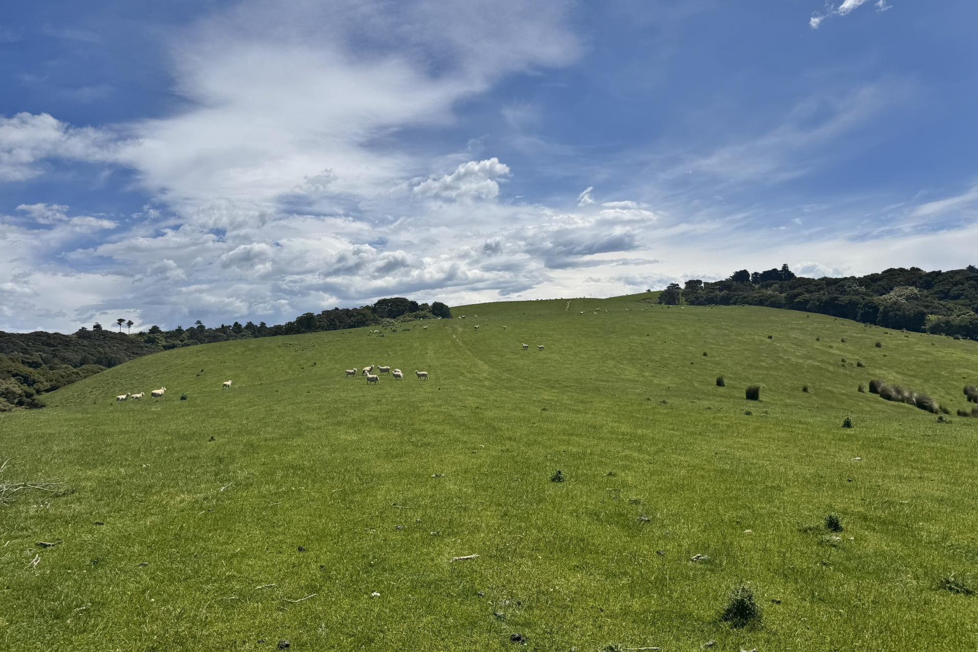 125 Sawmill Road, Taieri Beach