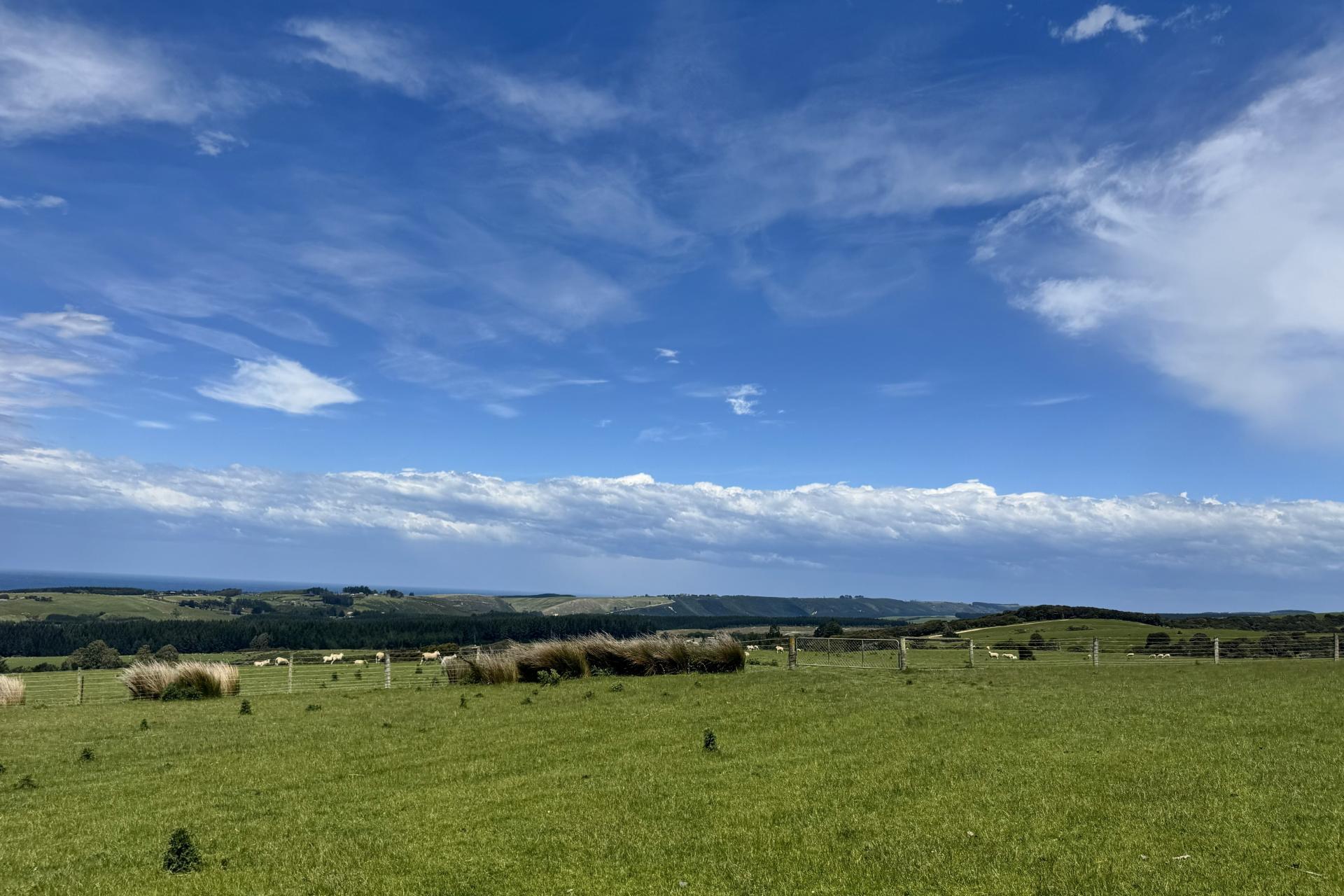 125 Sawmill Road, Taieri Beach