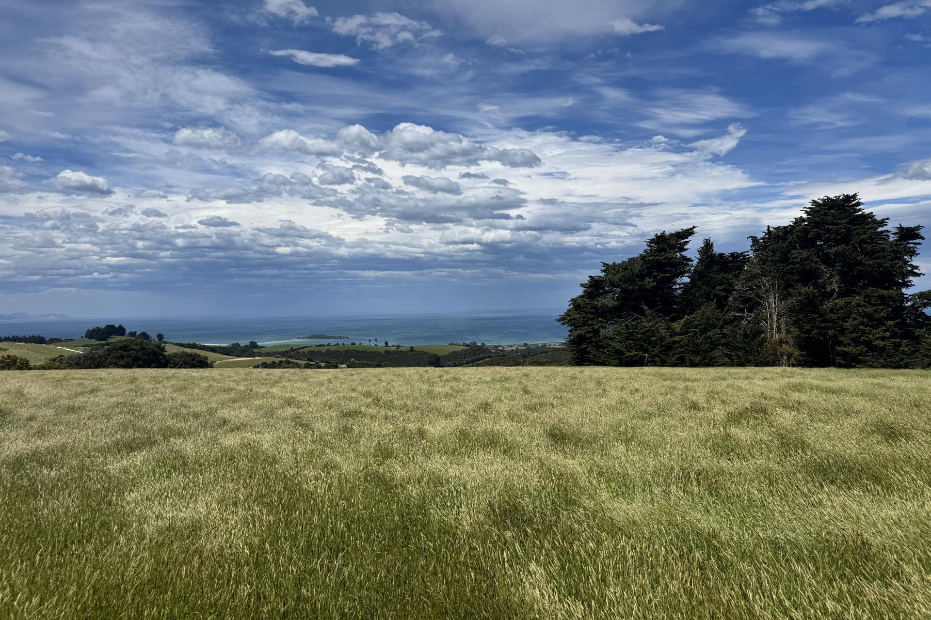 125 Sawmill Road, Taieri Beach