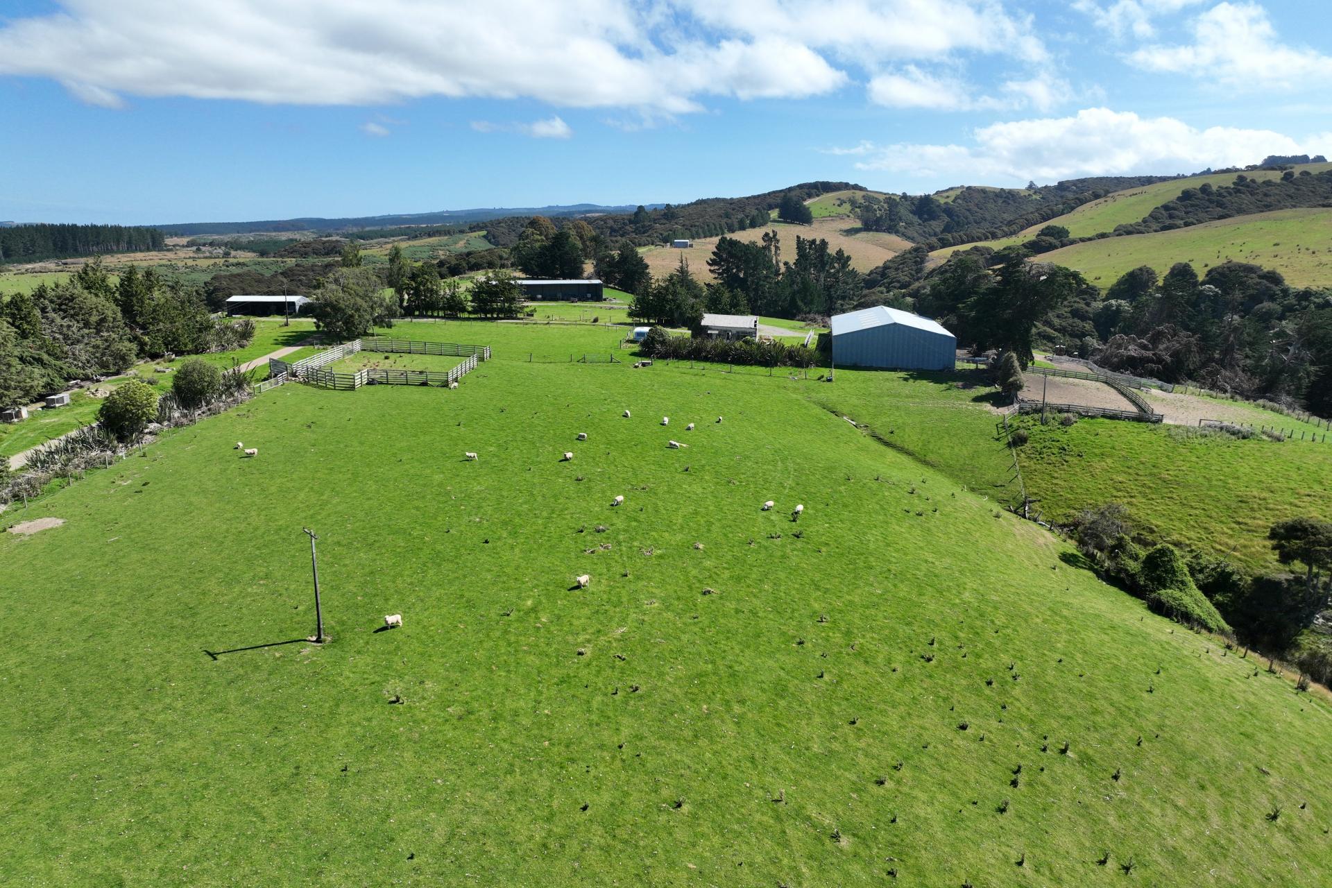 125 Sawmill Road, Taieri Beach