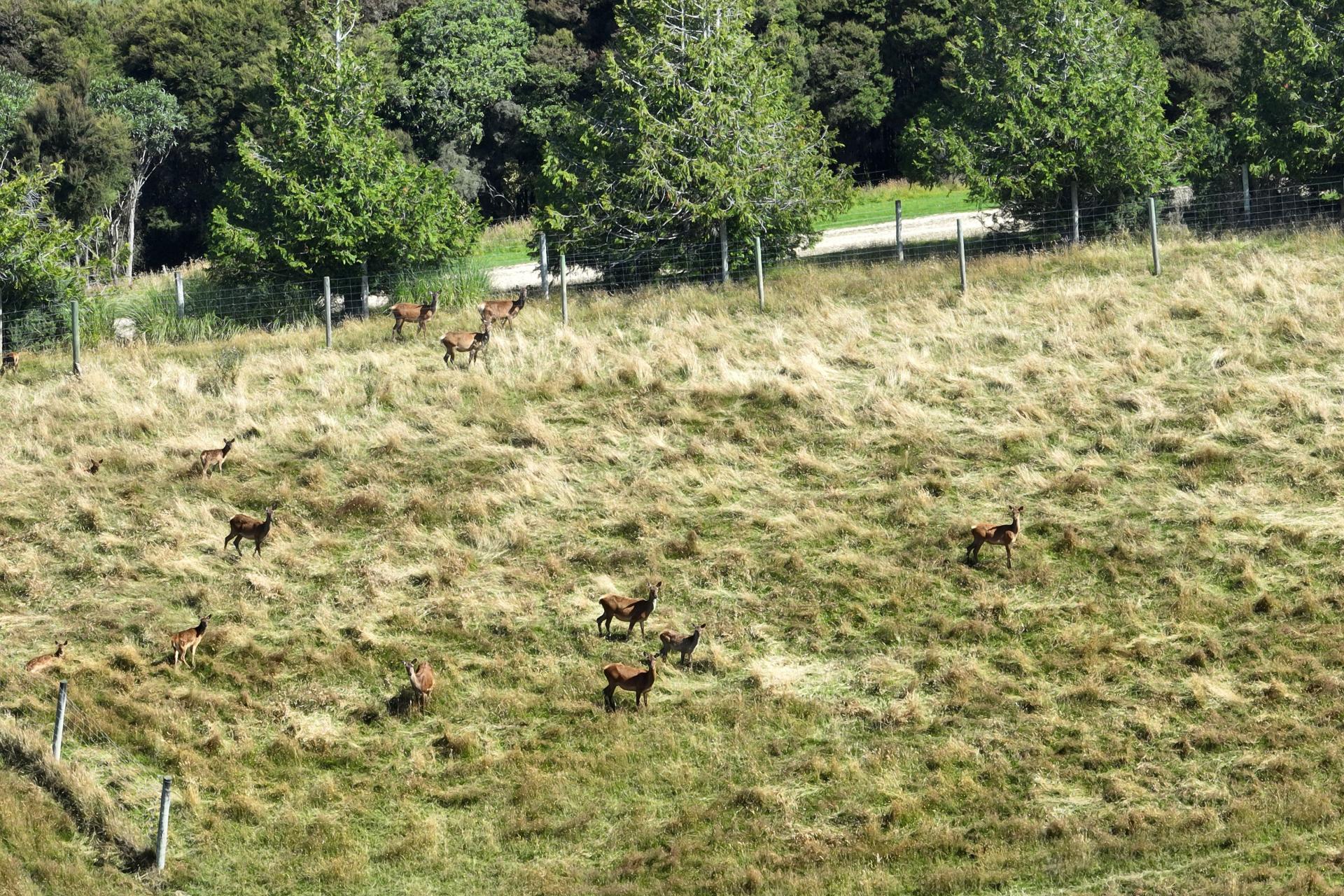 125 Sawmill Road, Taieri Beach