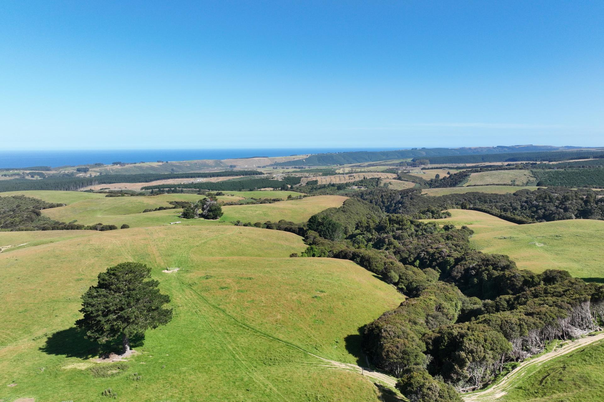 125 Sawmill Road, Taieri Beach