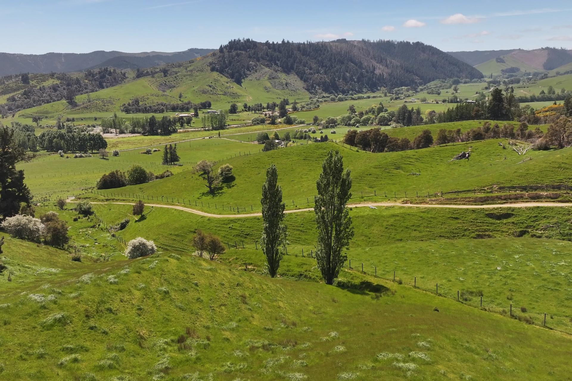 162 Upper Stanley Brook, Stanley Brook