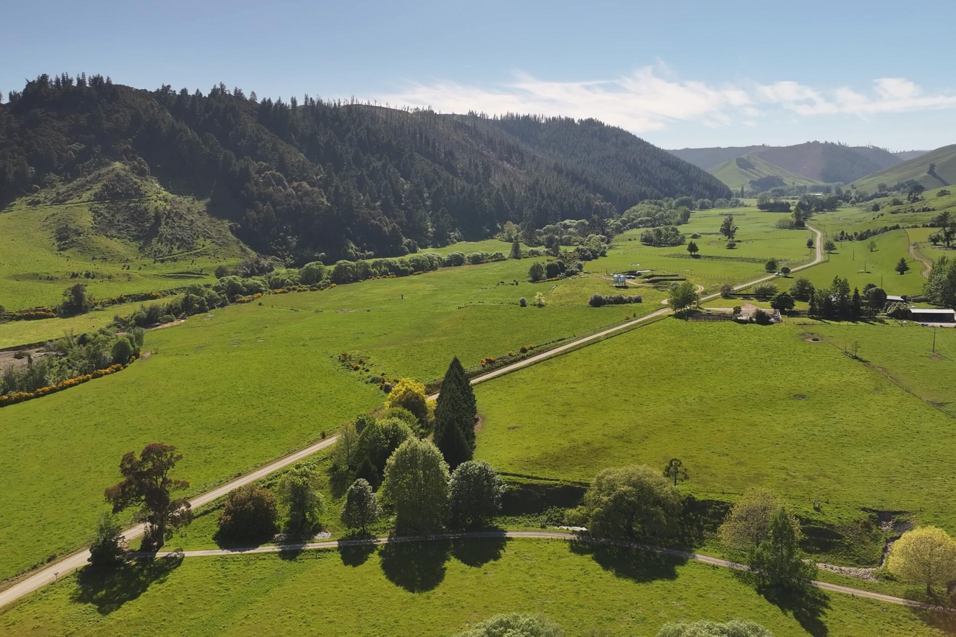 200 Upper Stanley Brook, Stanley Brook