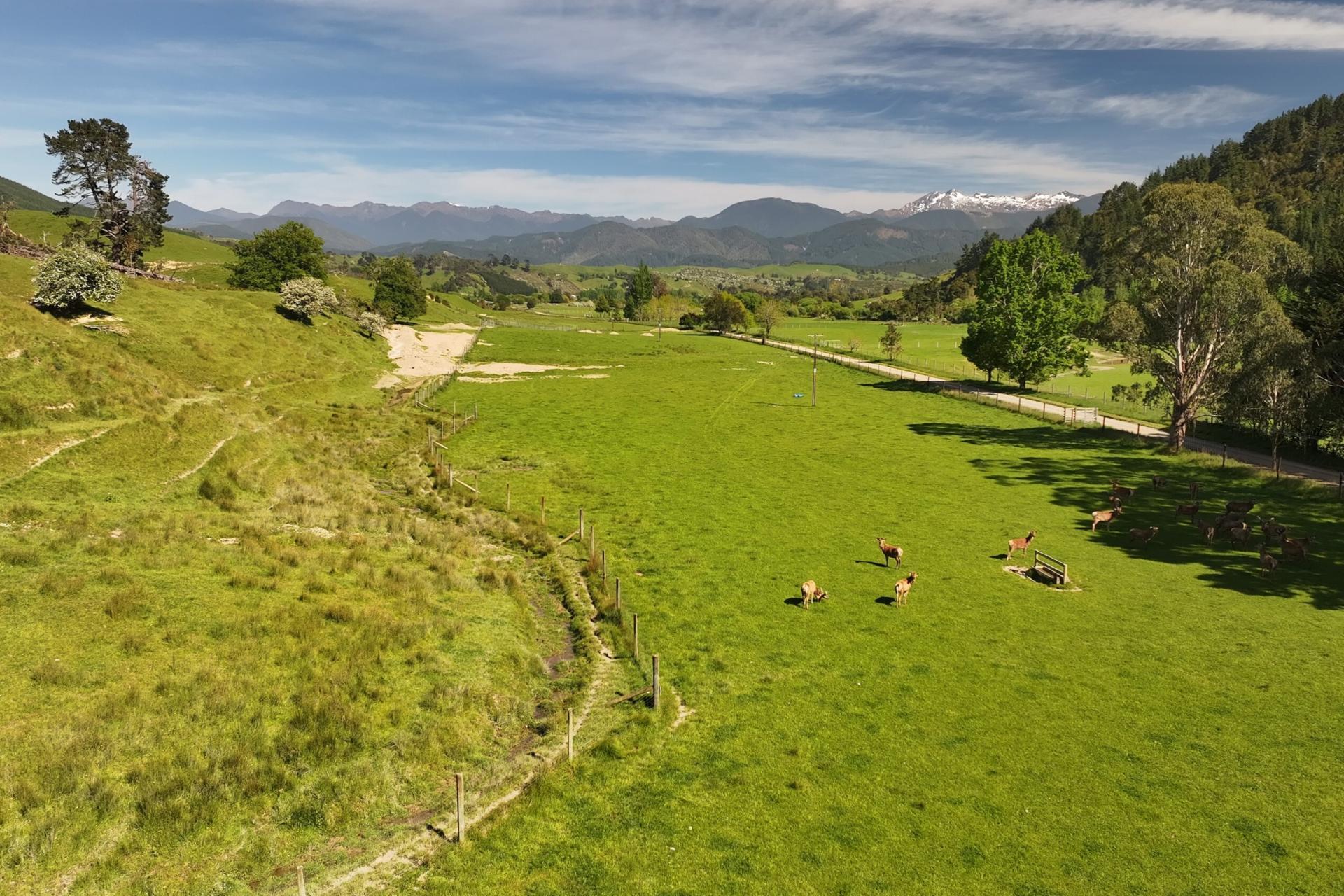 200 Upper Stanley Brook, Stanley Brook