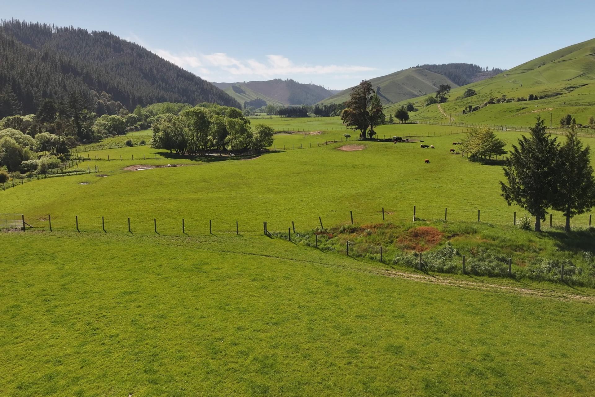 200 Upper Stanley Brook, Stanley Brook