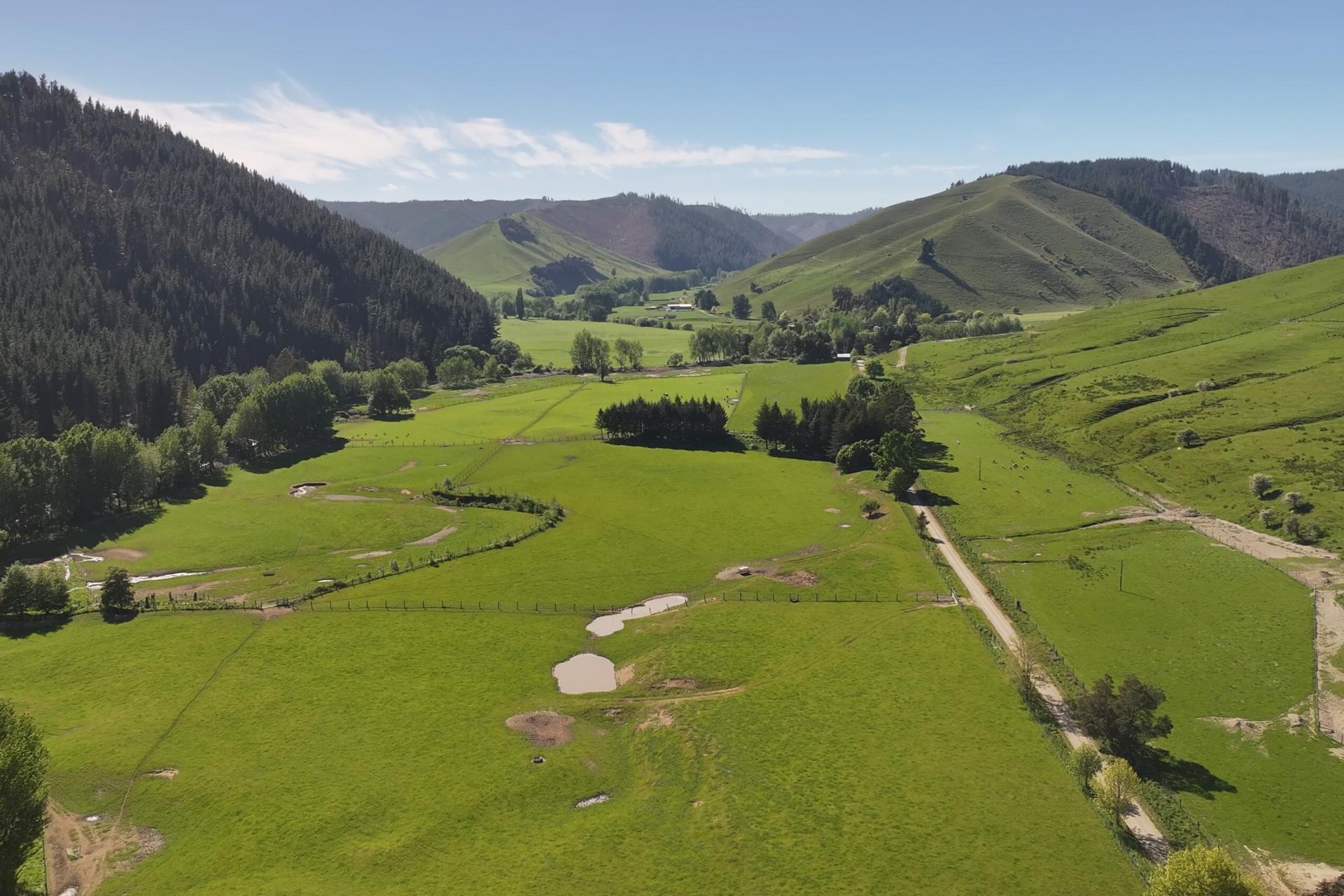 200 Upper Stanley Brook, Stanley Brook