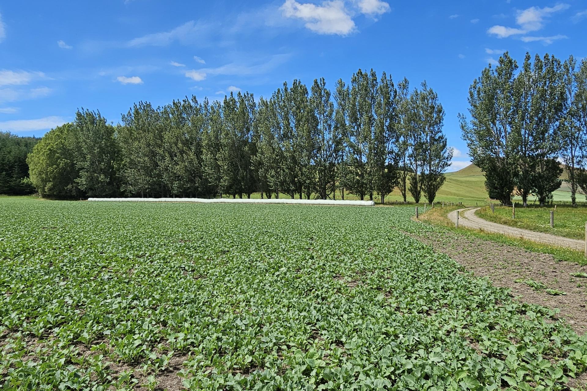 289 Otama Valley Road, Otama