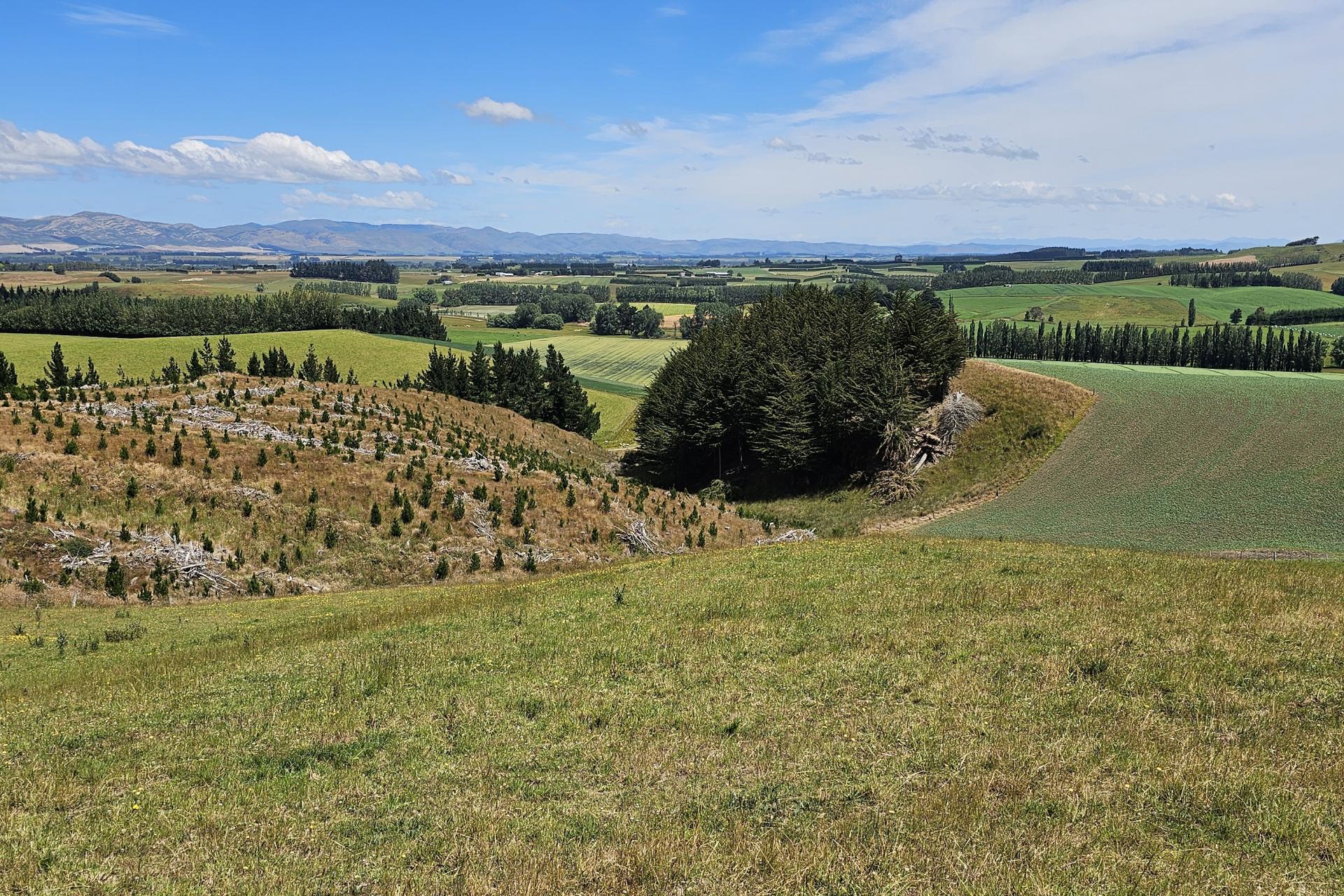 289 Otama Valley Road, Otama