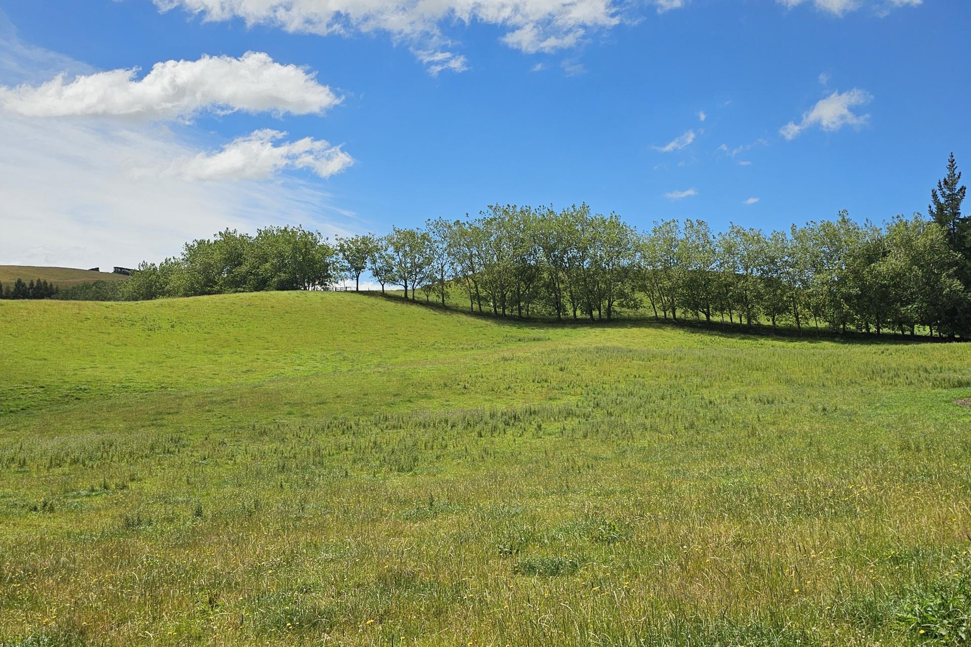 289 Otama Valley Road, Otama