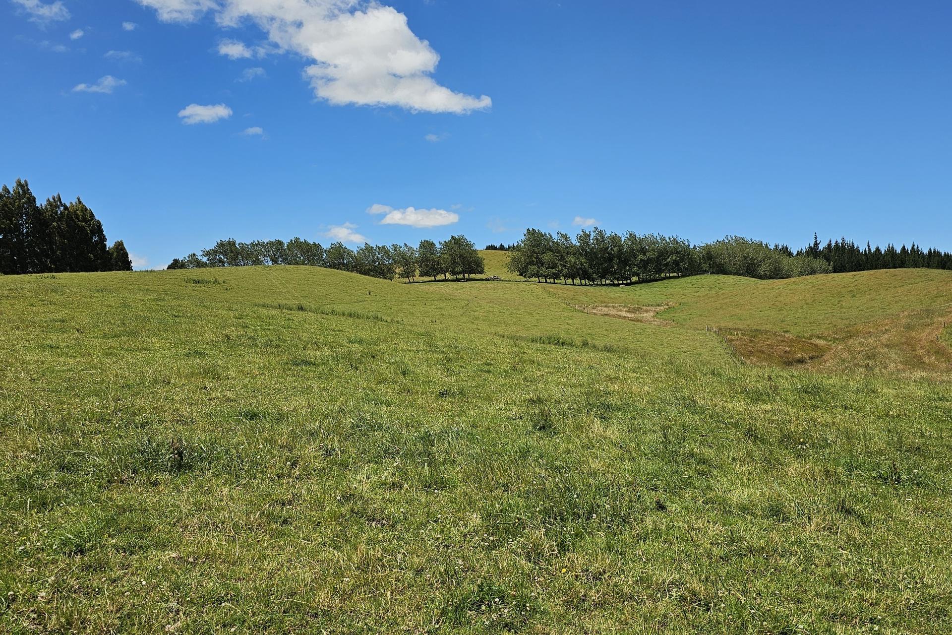 289 Otama Valley Road, Otama