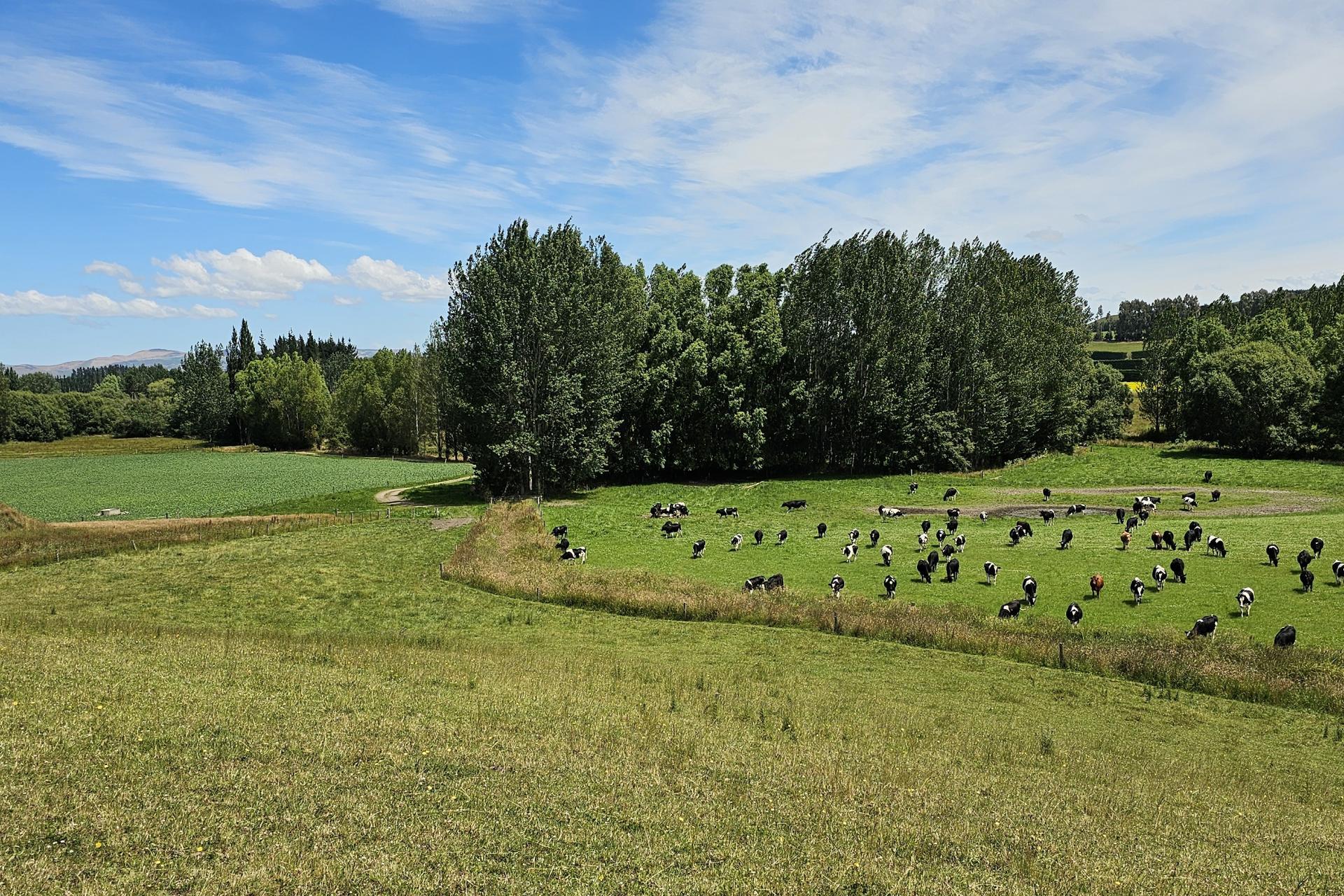 289 Otama Valley Road, Otama