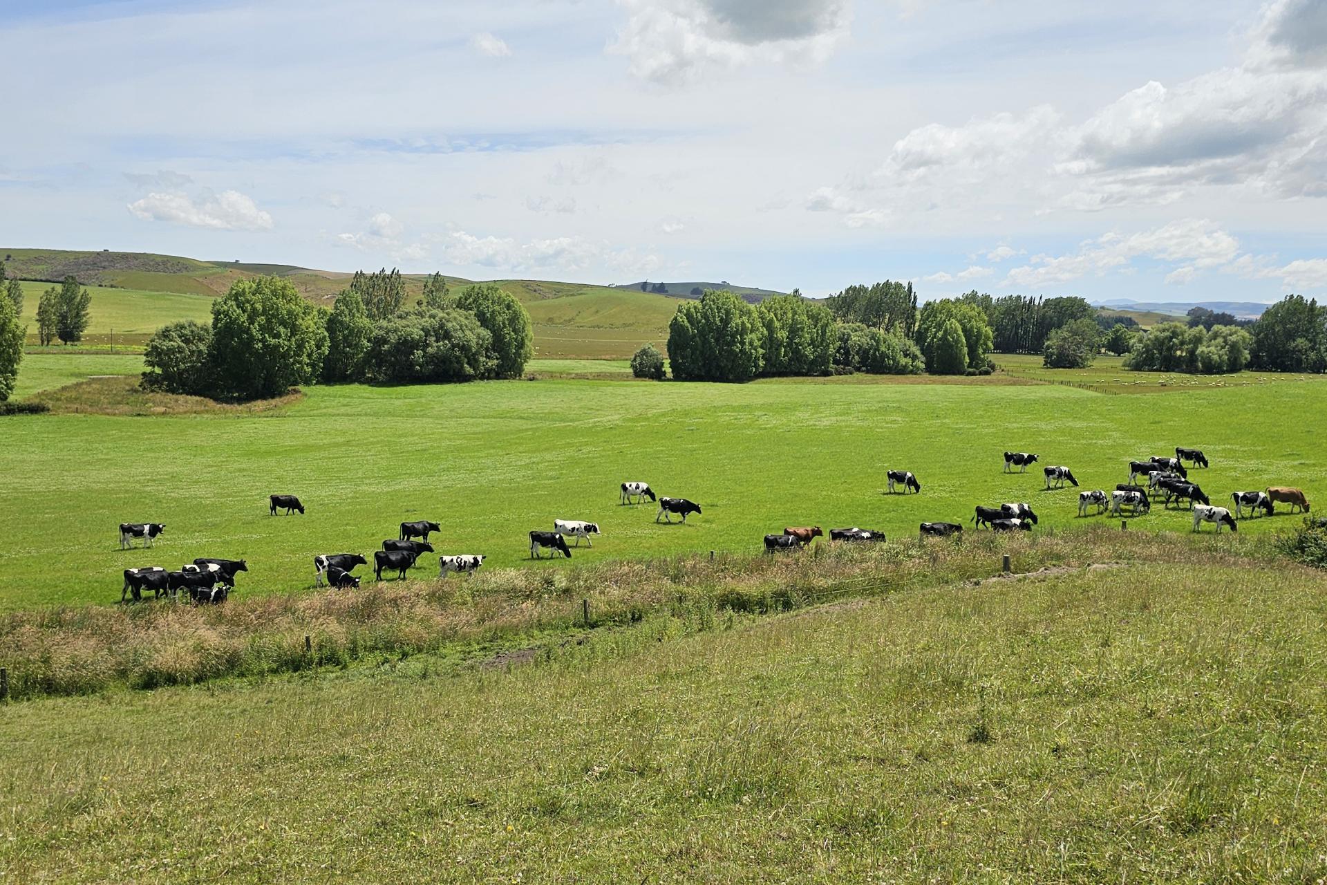 289 Otama Valley Road, Otama